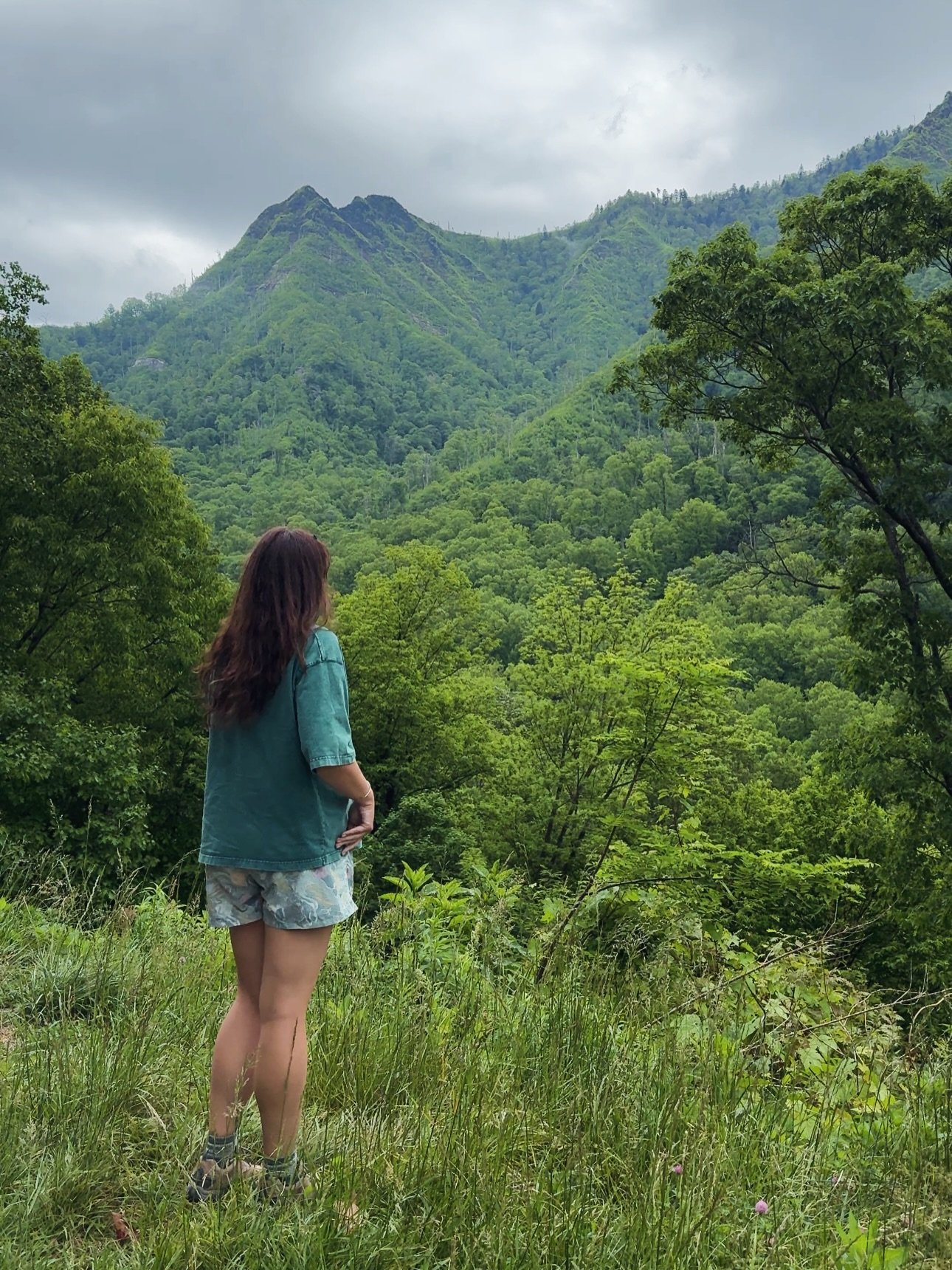2,000 miles later&hellip;

💦 hot springs, ar
🎶 nashville, tn
🌳 great smokes, tn
☀️ shenandoah, va