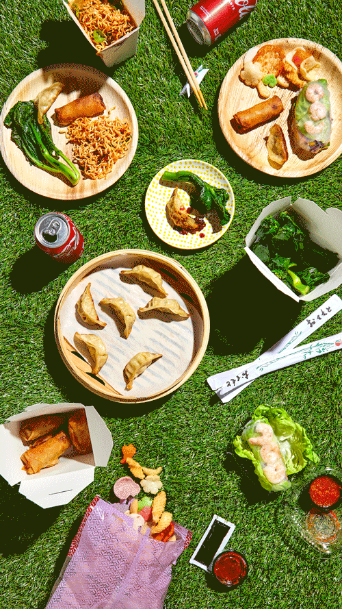 Kara_Chin_dumplings_outdoor_picnic_stop_motion_1.gif