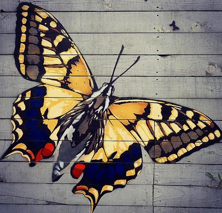 "Mom"-stencil detail on fence created in honor of my client's Mom  in Austin, TX