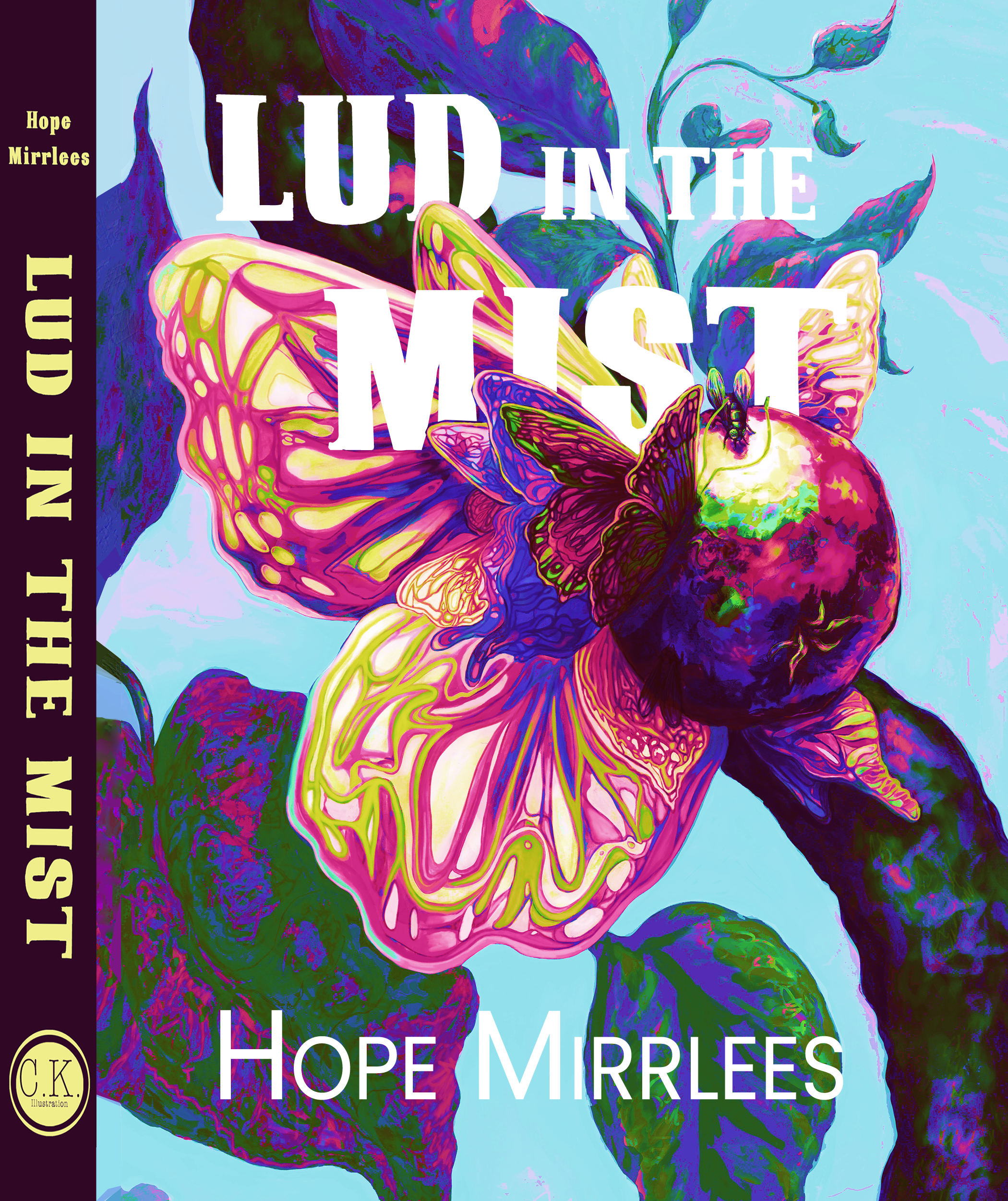 Lud in the Mist Book Jacket Design (C)2025byC.Kmita