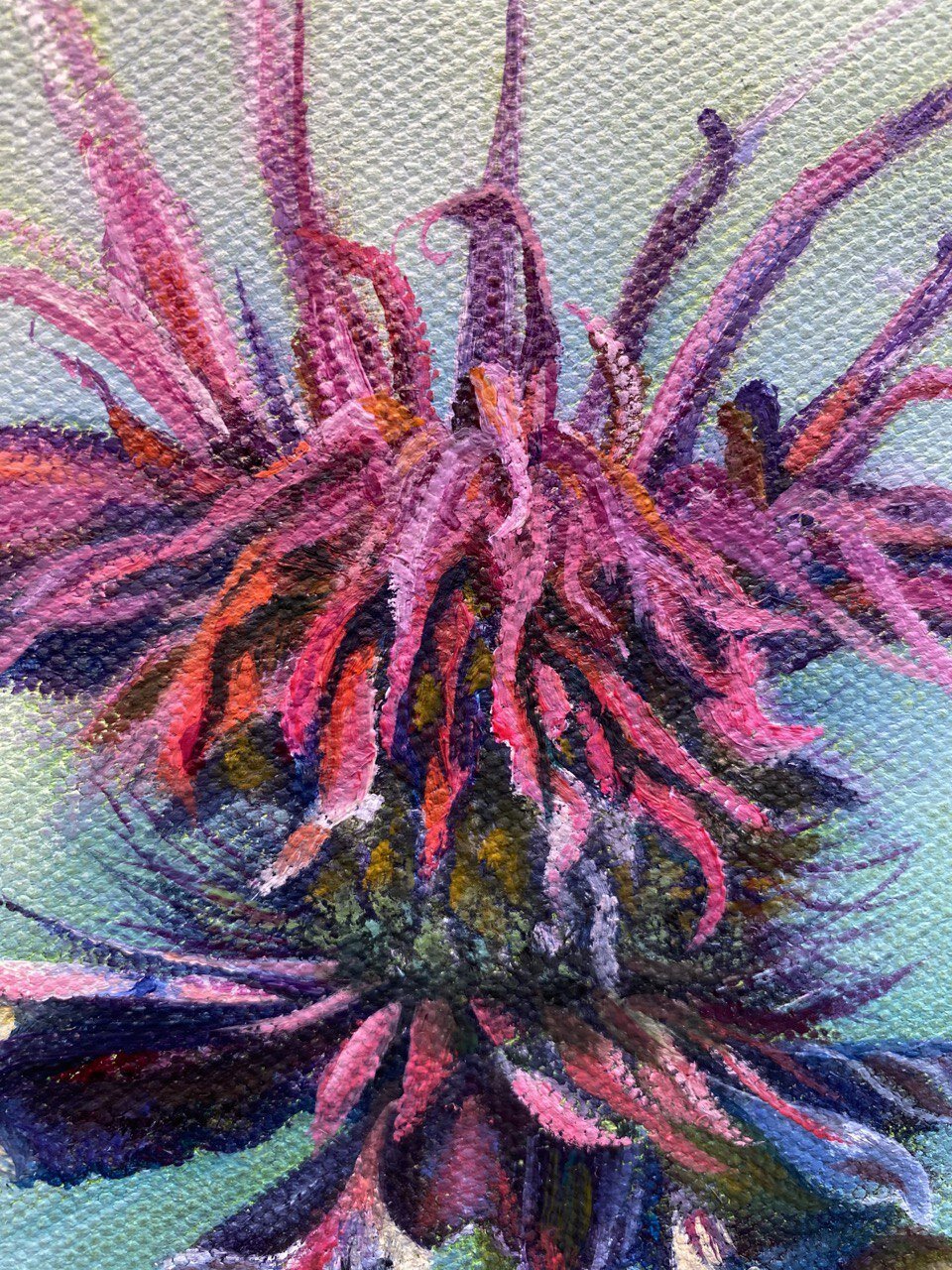 hummingbird closeup.jpeg