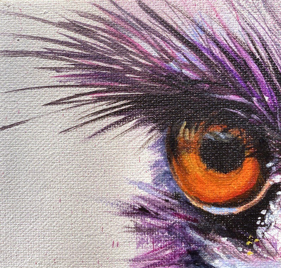 ostrich closeupp.jpeg