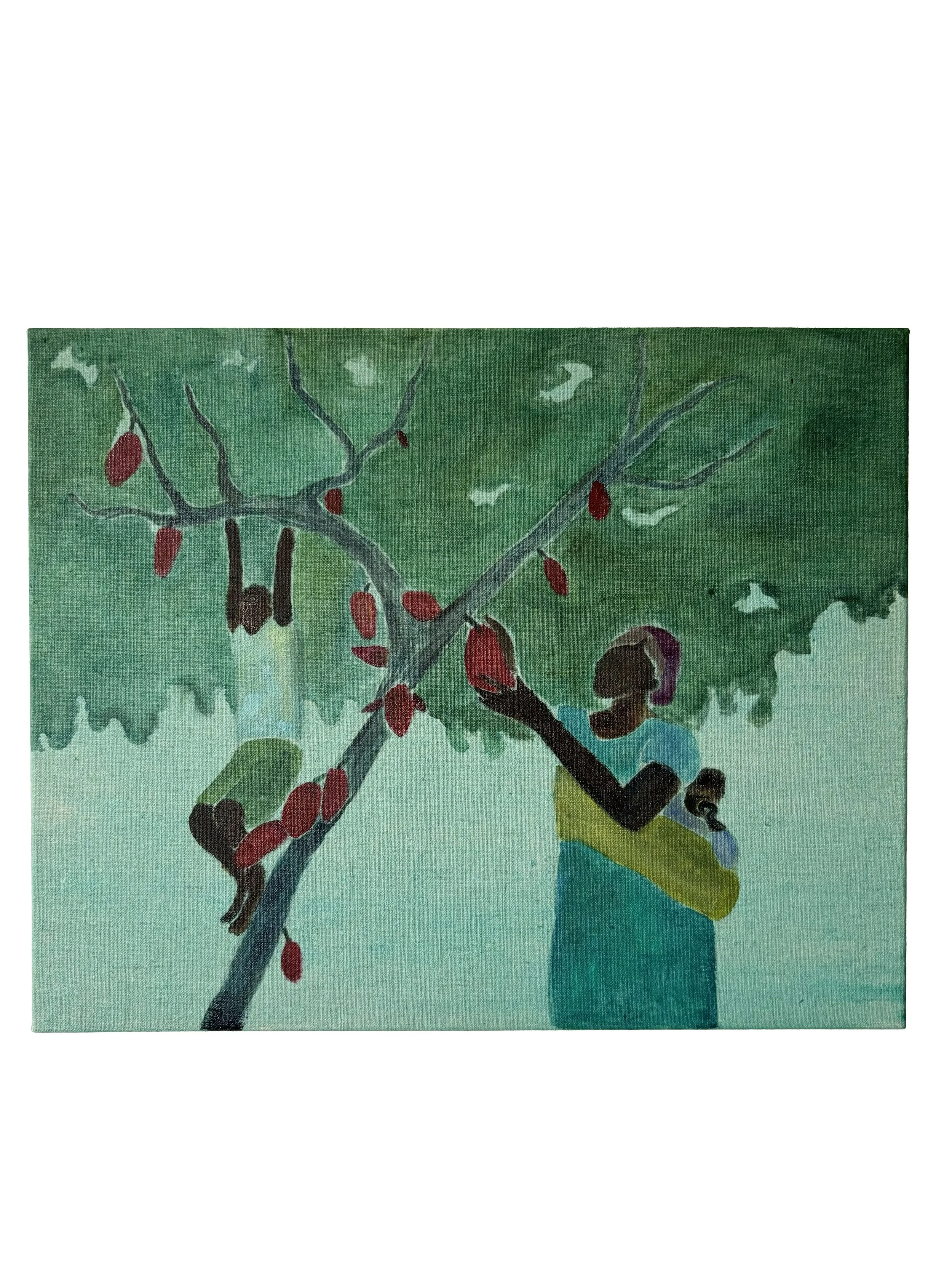 Under the Cocoa Tree