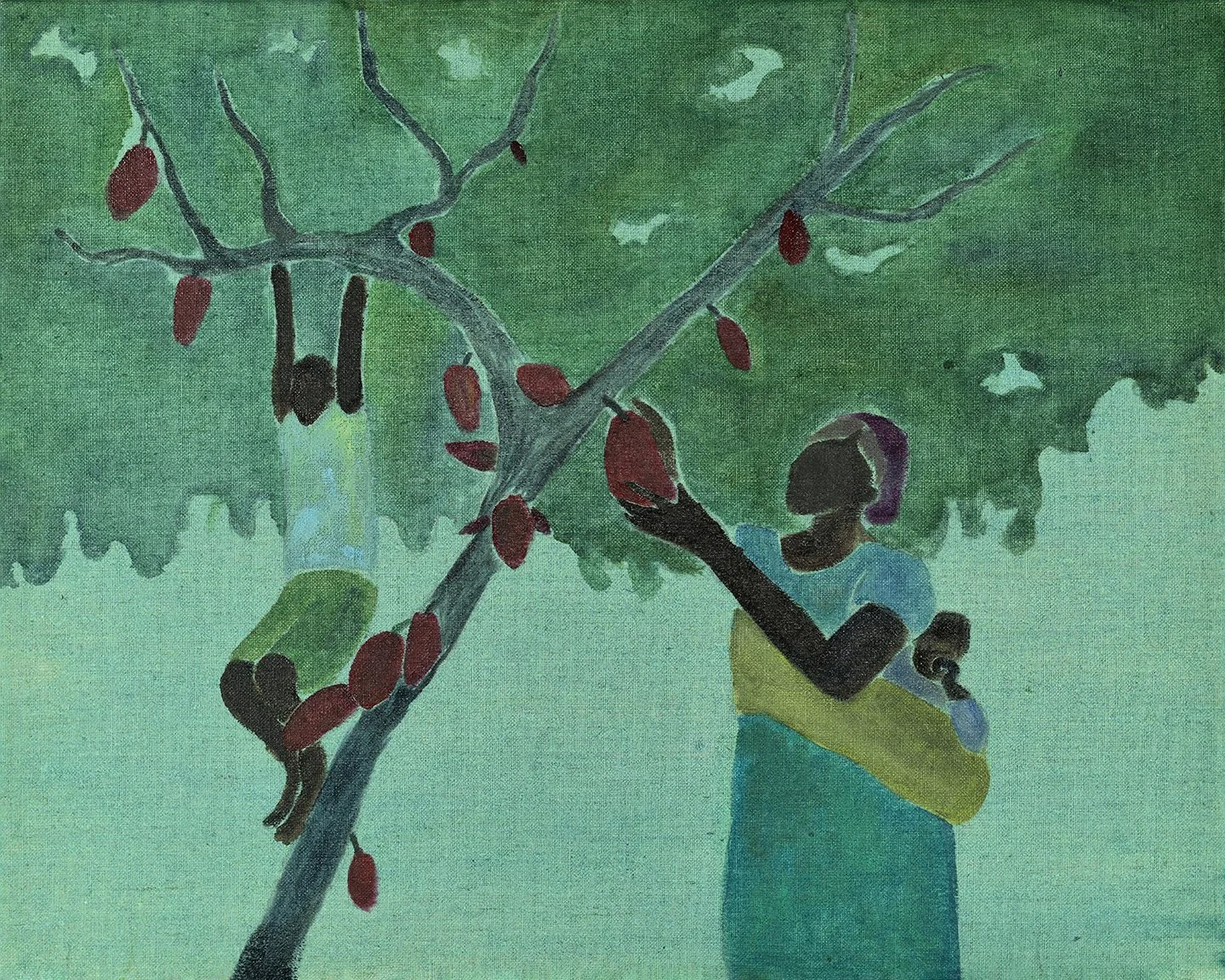 Under the Cocoa Tree