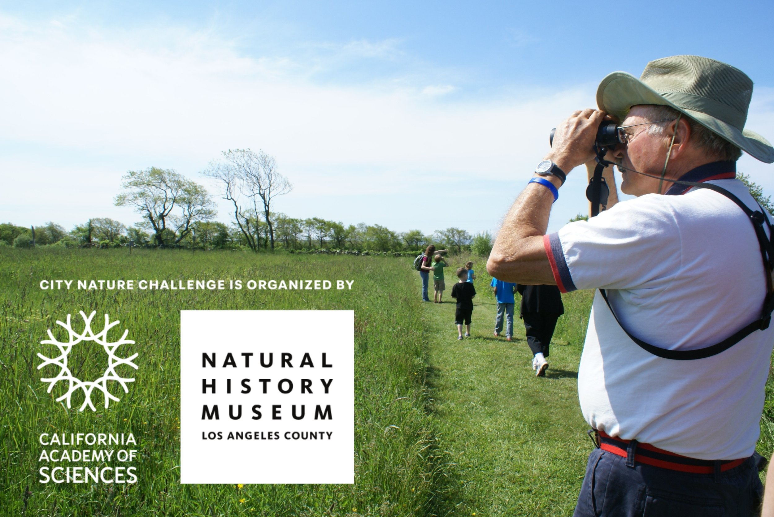 City Nature Challenge