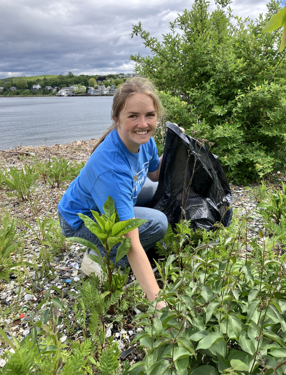 Common Fence Point Cleanup