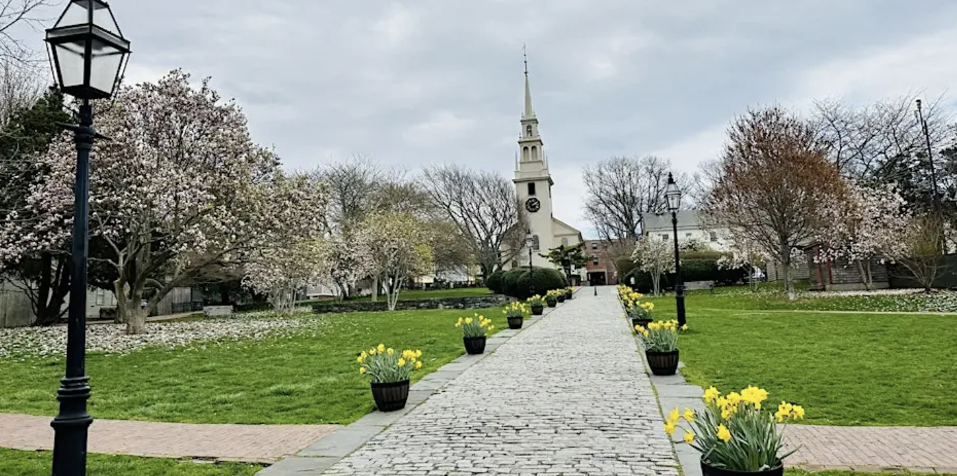 Free Tree Walk: Queen Anne's Square