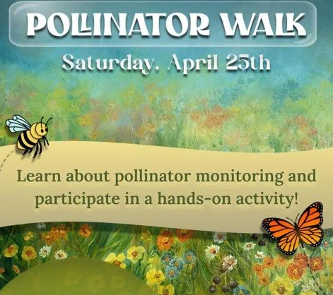 Discover the Secret Life of Meadows: A Guided Pollinator Hike