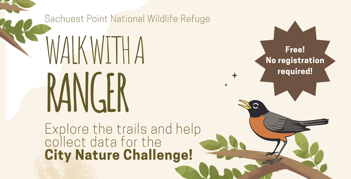 Walk with a Ranger!