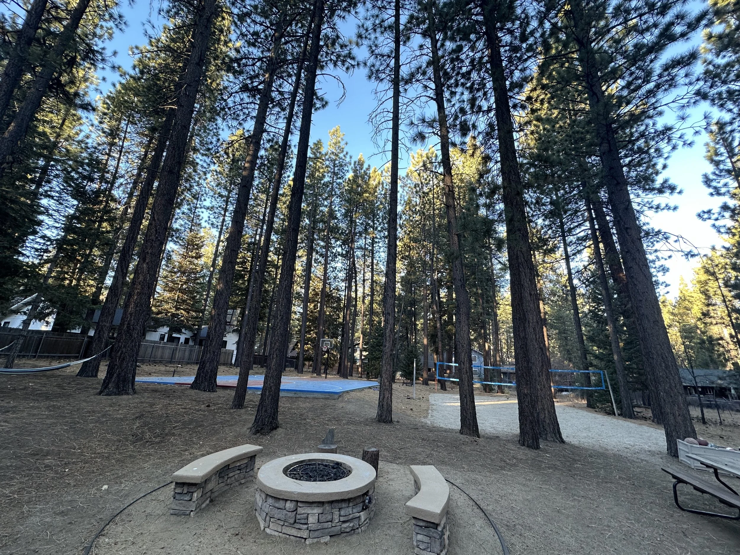 A park area surrounded by tall pine trees with a basketball court and a sandbox in the background. There is a fire pit with benches in the foreground and picnic tables nearby.