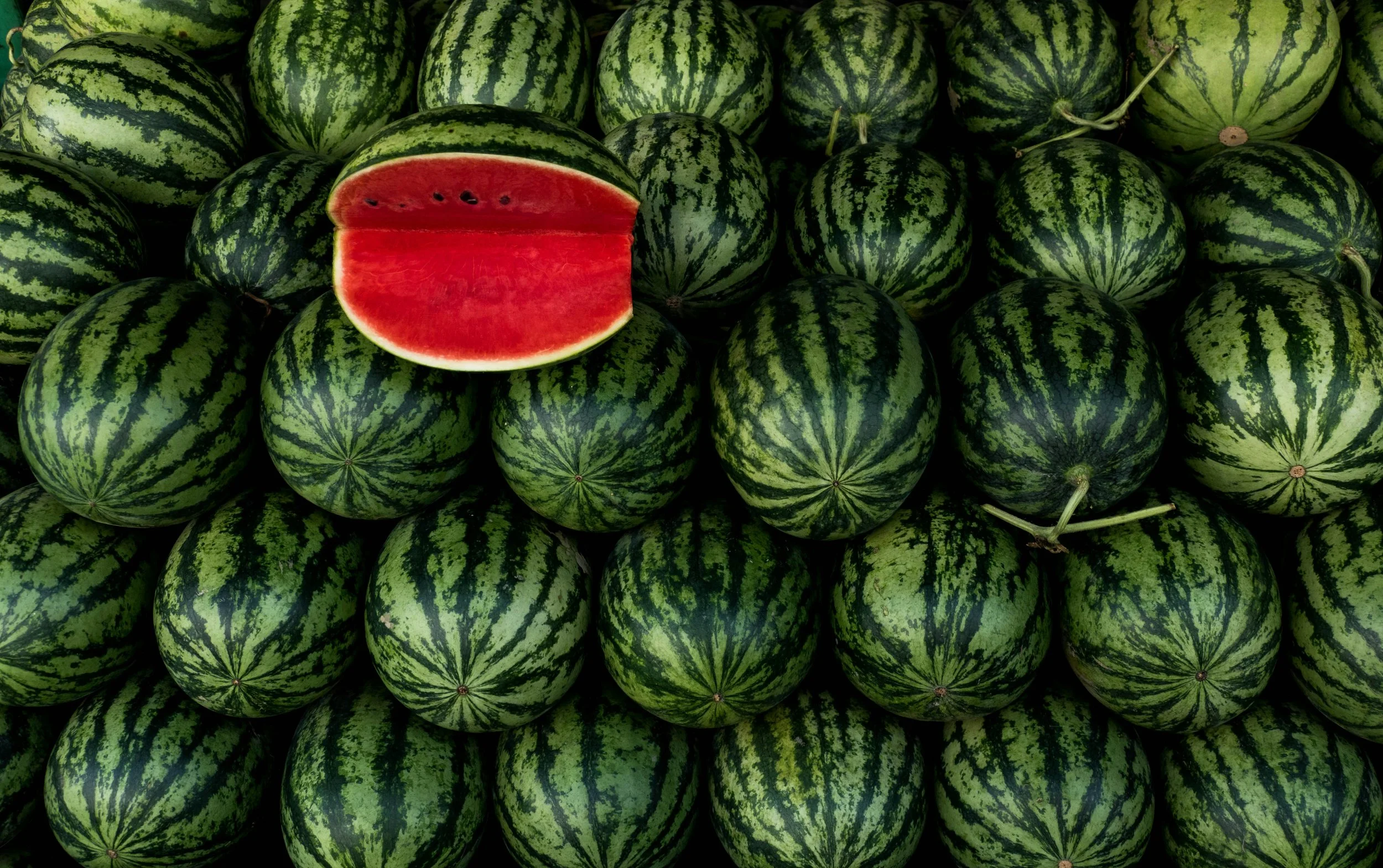 My Watermelon بَطّيختي