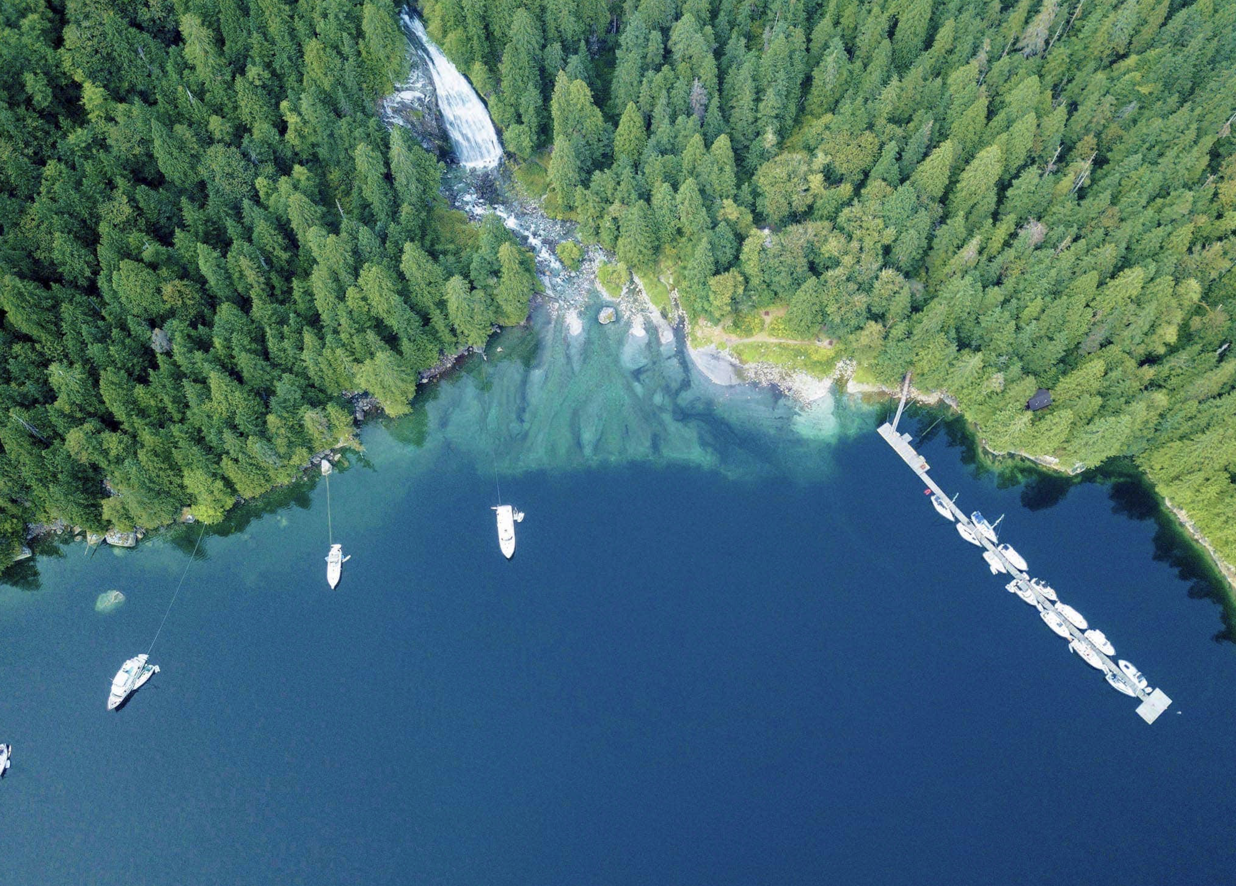 Screen Shot 2021-02-27 at 11.45.18 PM.png