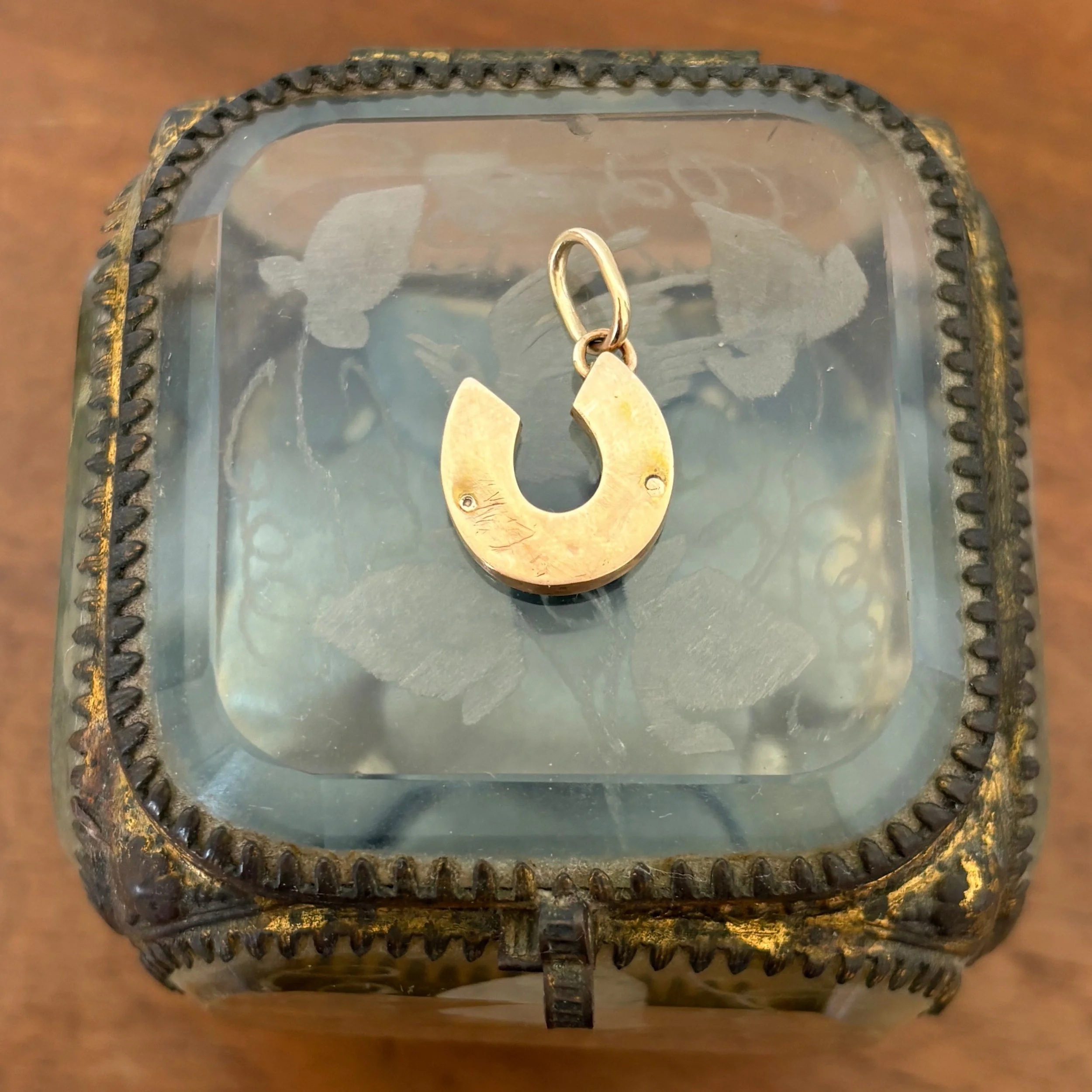 CA316 enamel horseshoe 7.jpg