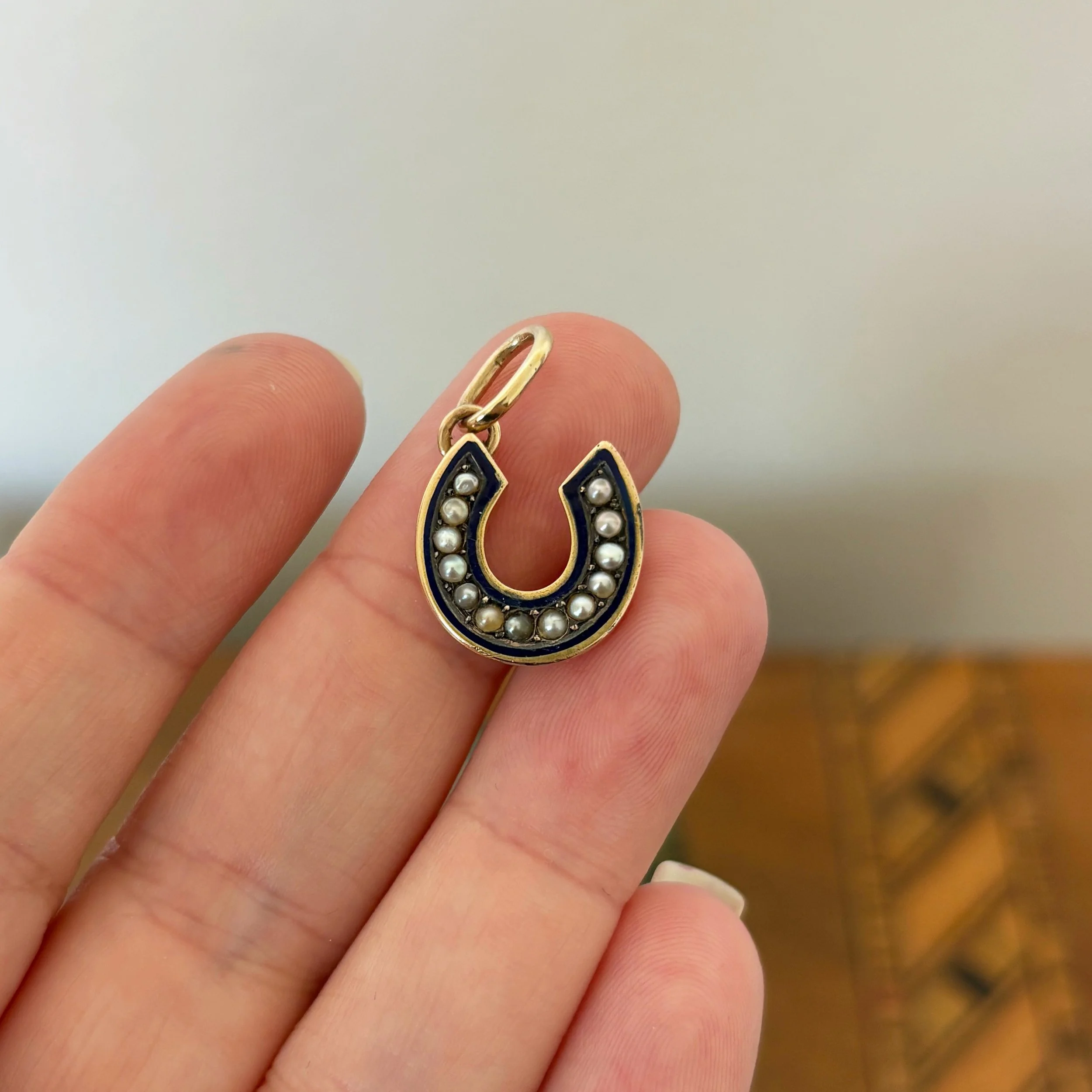 CA316 enamel horseshoe 10.jpg