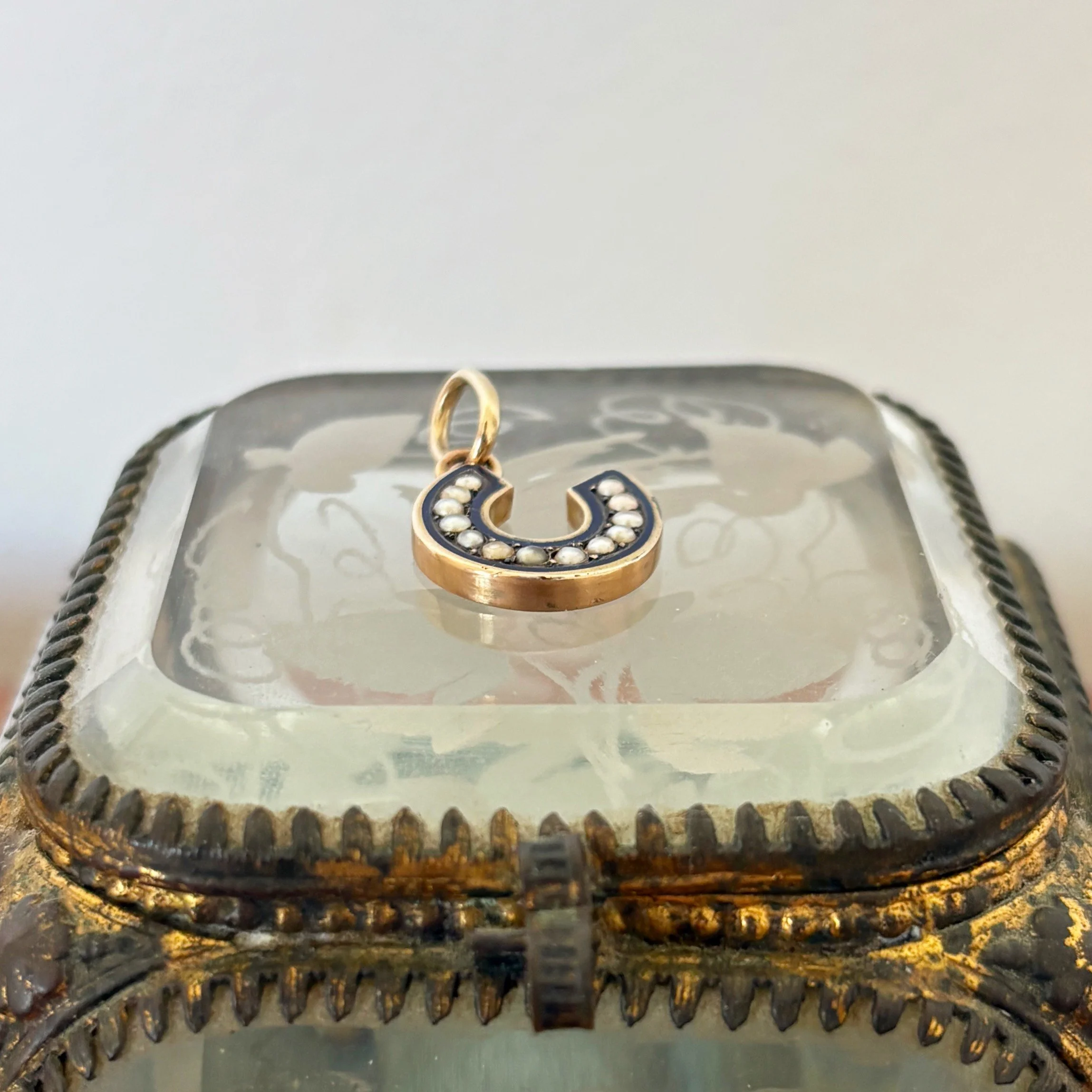 CA316 enamel horseshoe 3.jpg