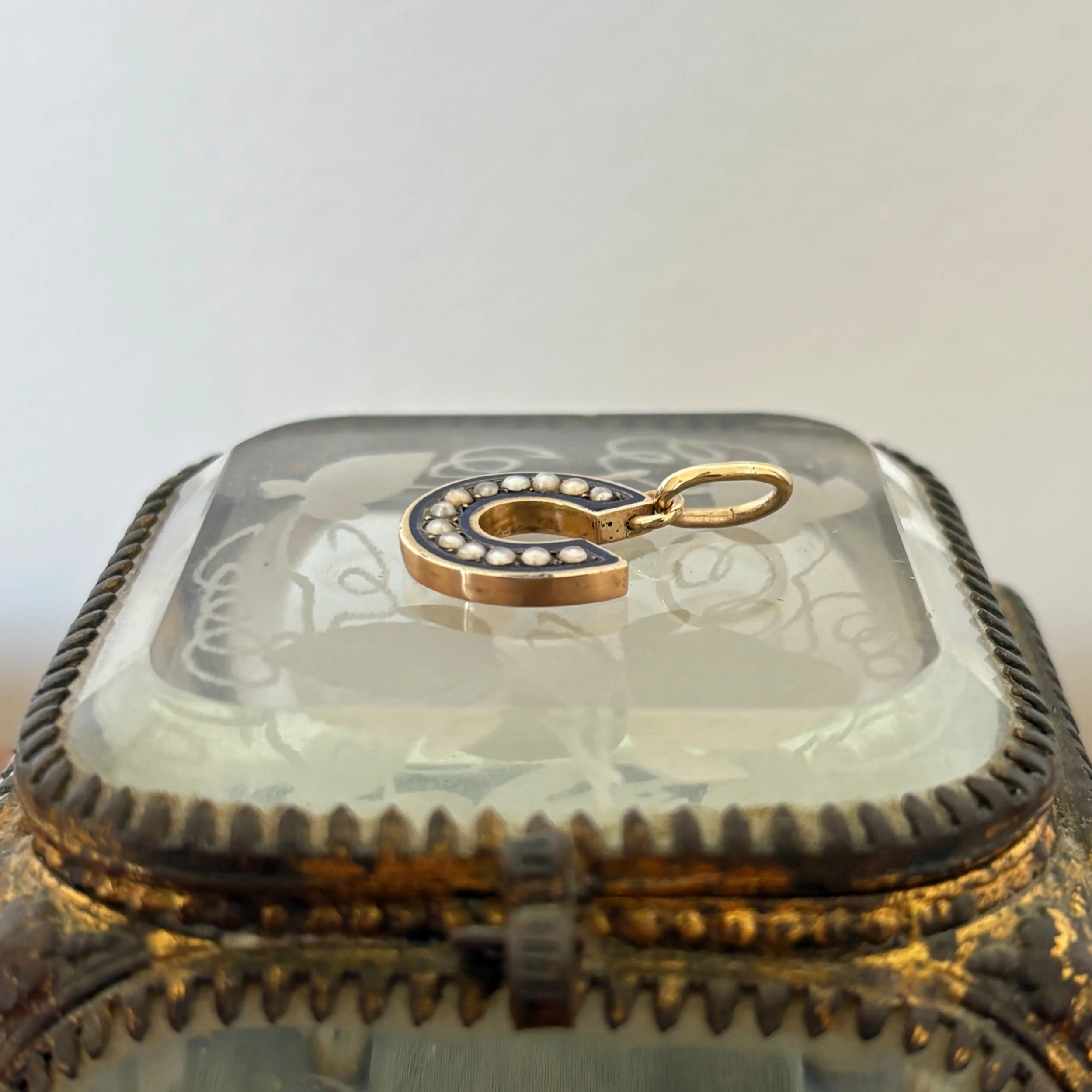 CA316 enamel horseshoe 4.jpg