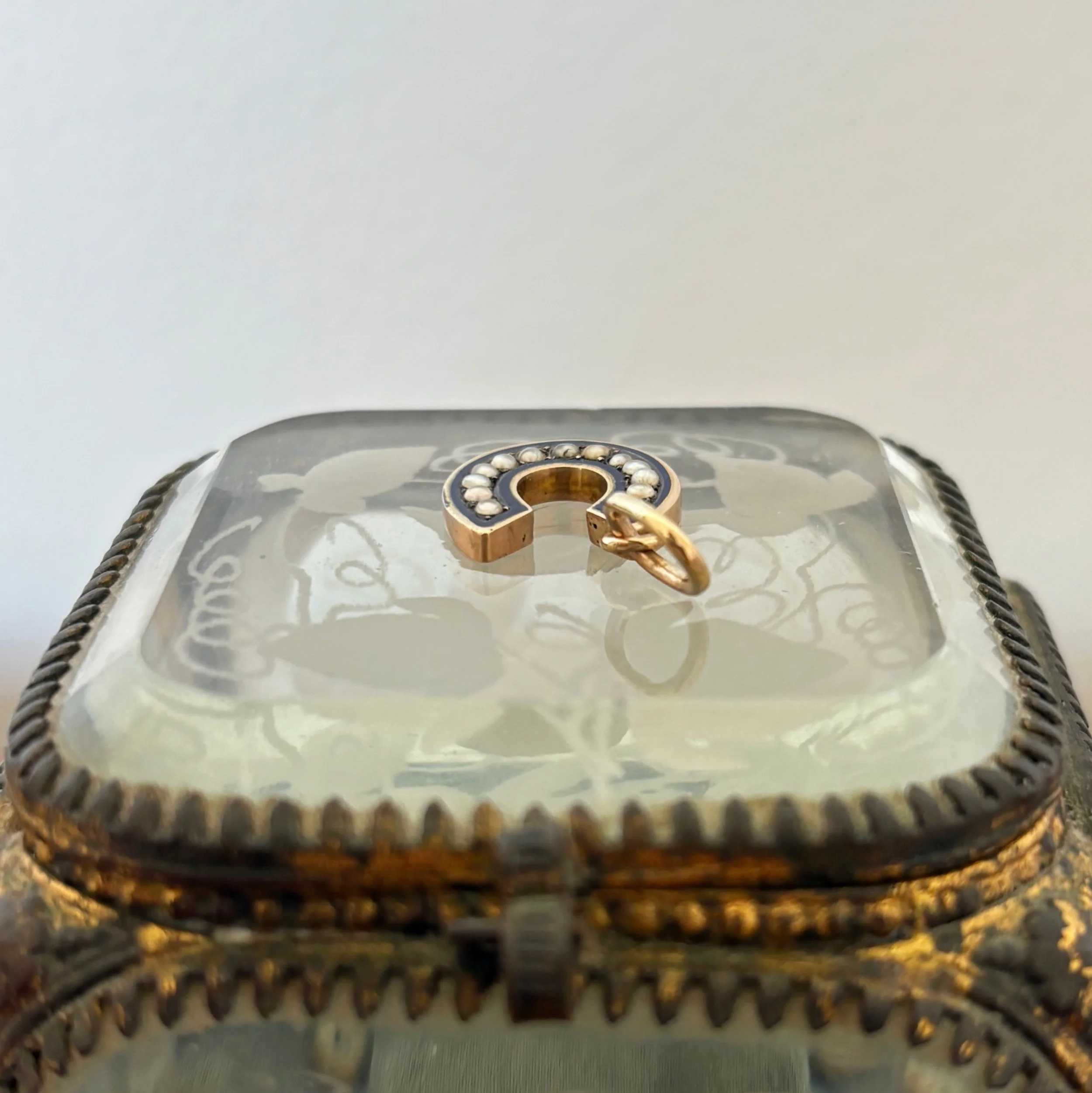 CA316 enamel horseshoe 5.jpg