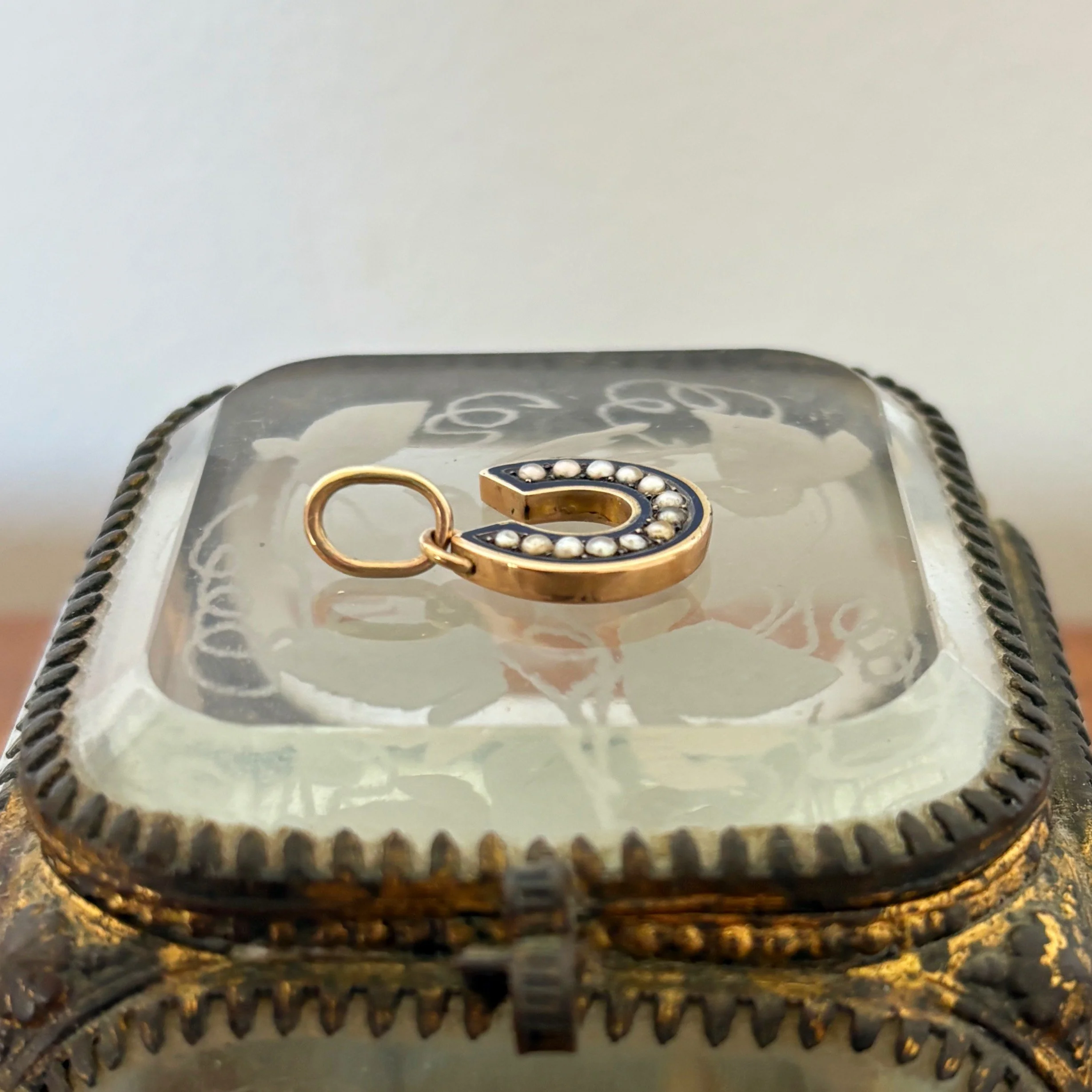CA316 enamel horseshoe 6.jpg