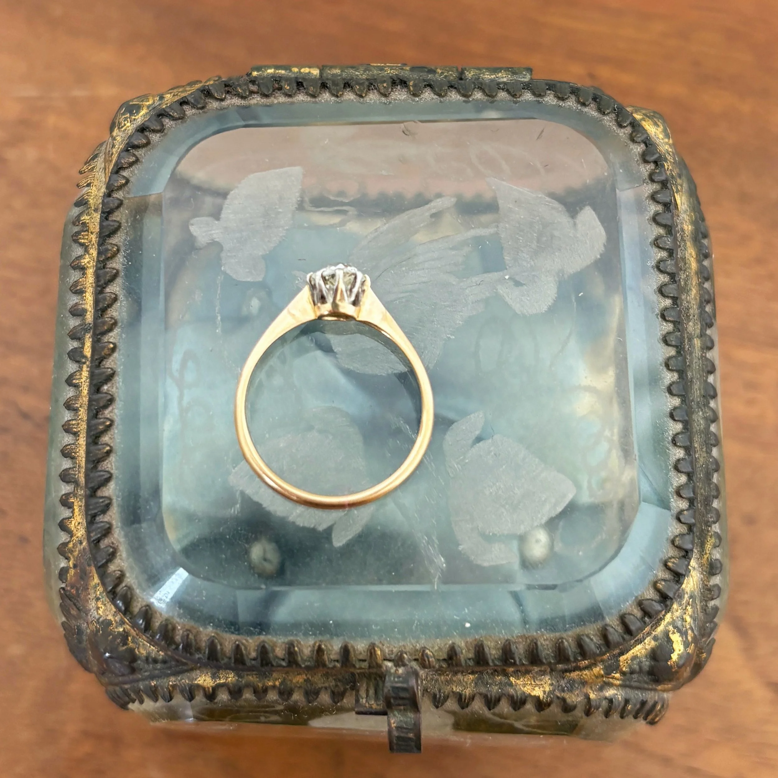 RA352 omc solitaire 6.jpg