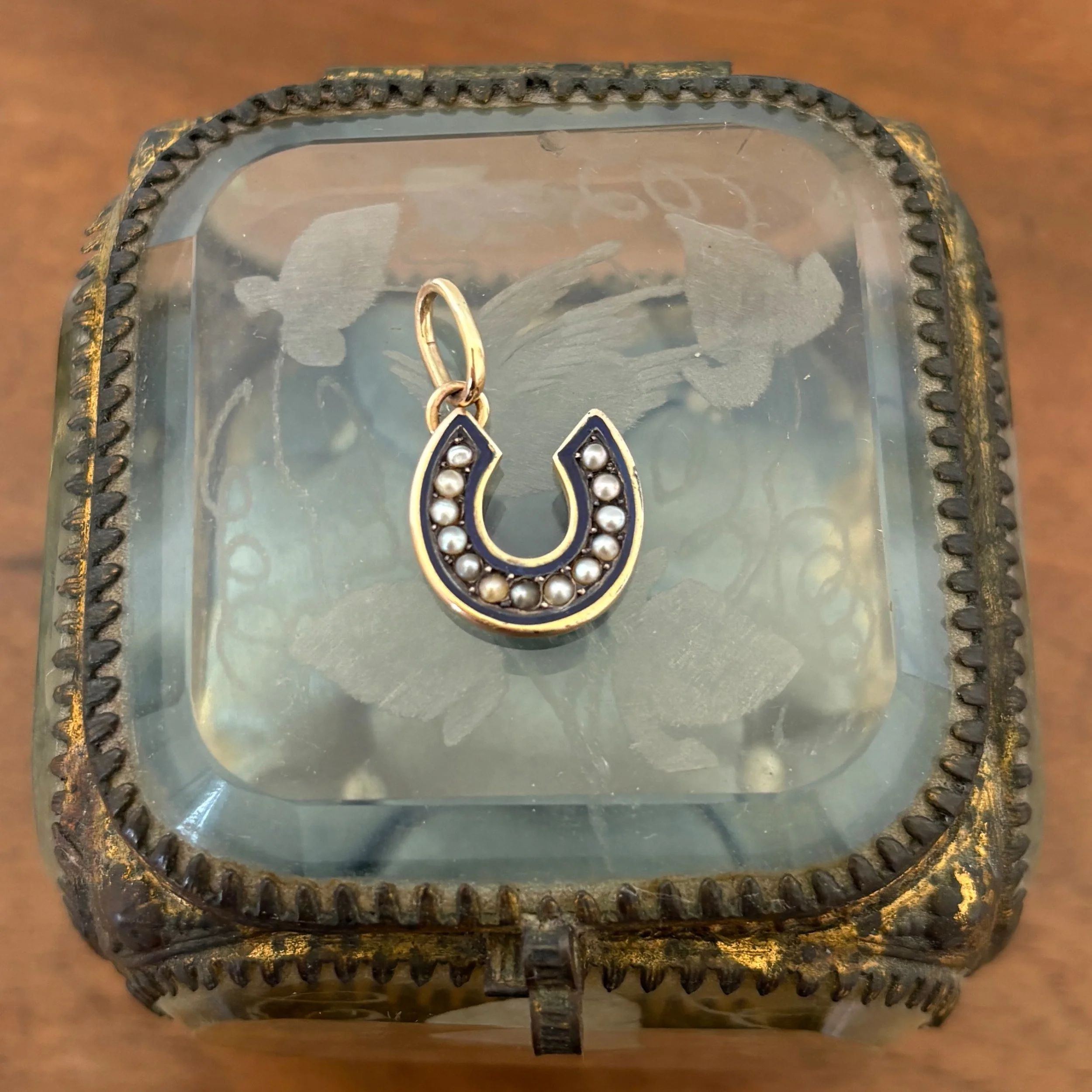 CA316 enamel horseshoe 1.jpg