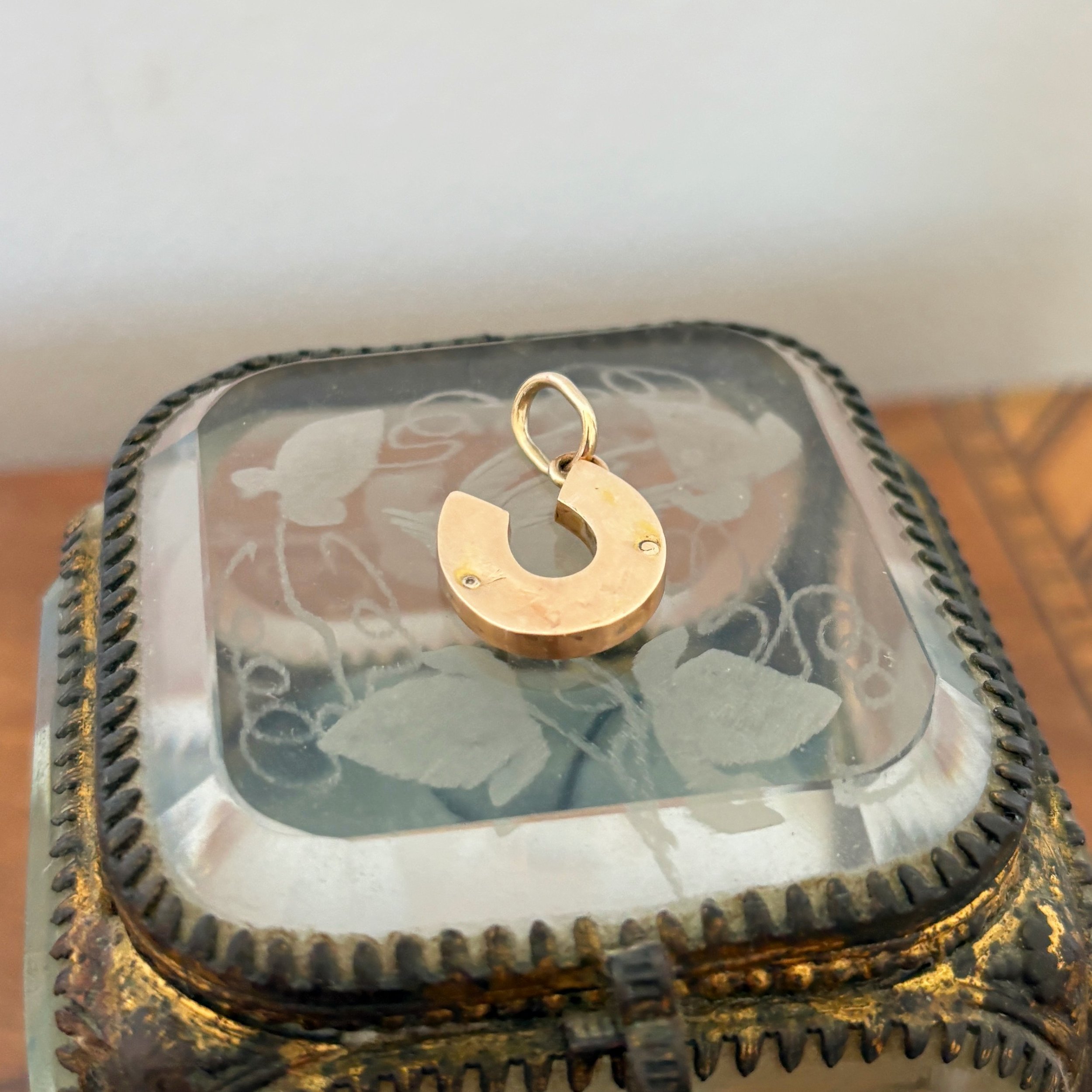 CA316 enamel horseshoe 8.jpg