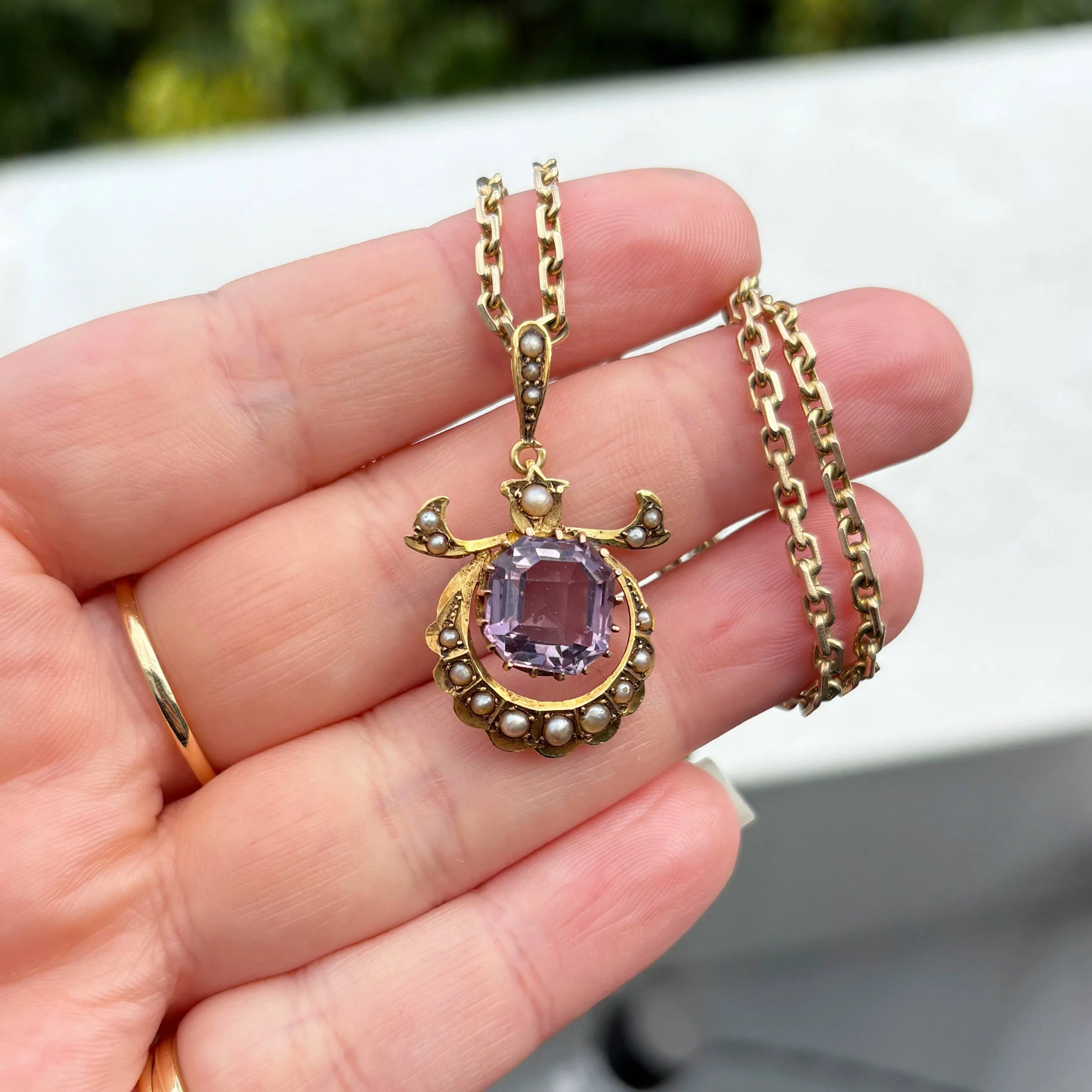 CA288 horned amethyst 5.jpg