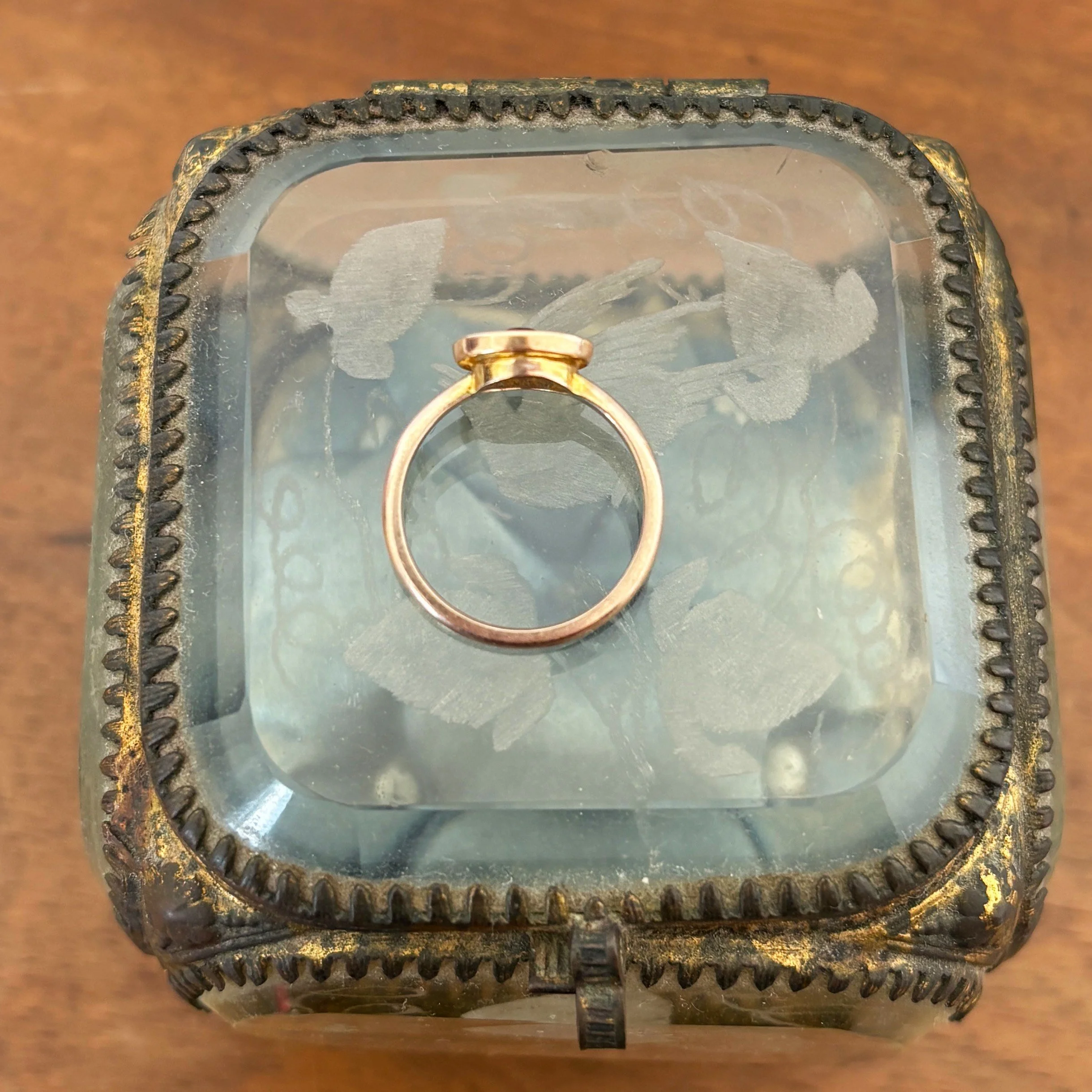 RA355 garnet target ring 9.jpg