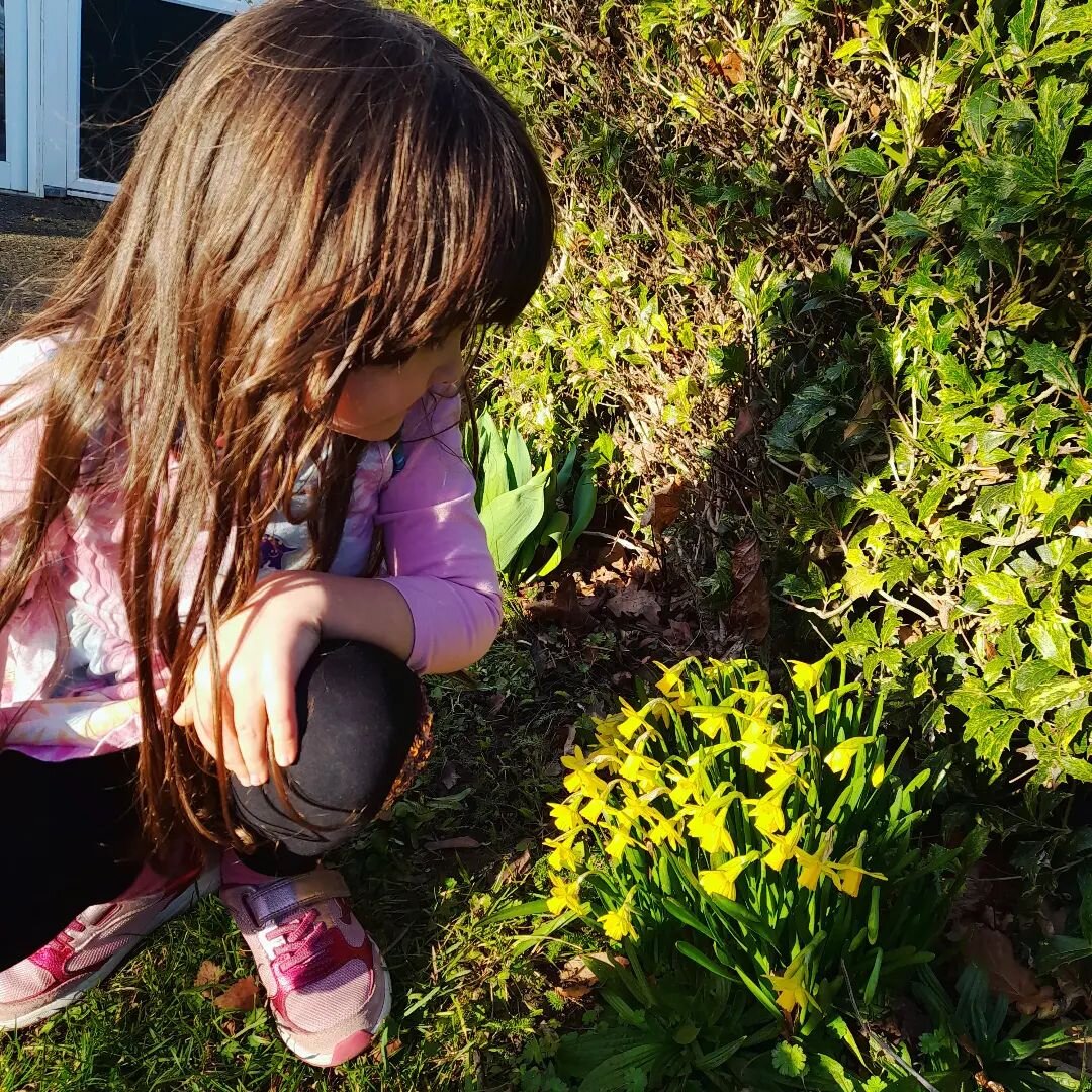 'Mini daffodils, Mummy!' 💛💛💛💛 This one was DELIGHTED when she spotted these flowers, and so was I. Sign of spring, for sure, and so much new hope.