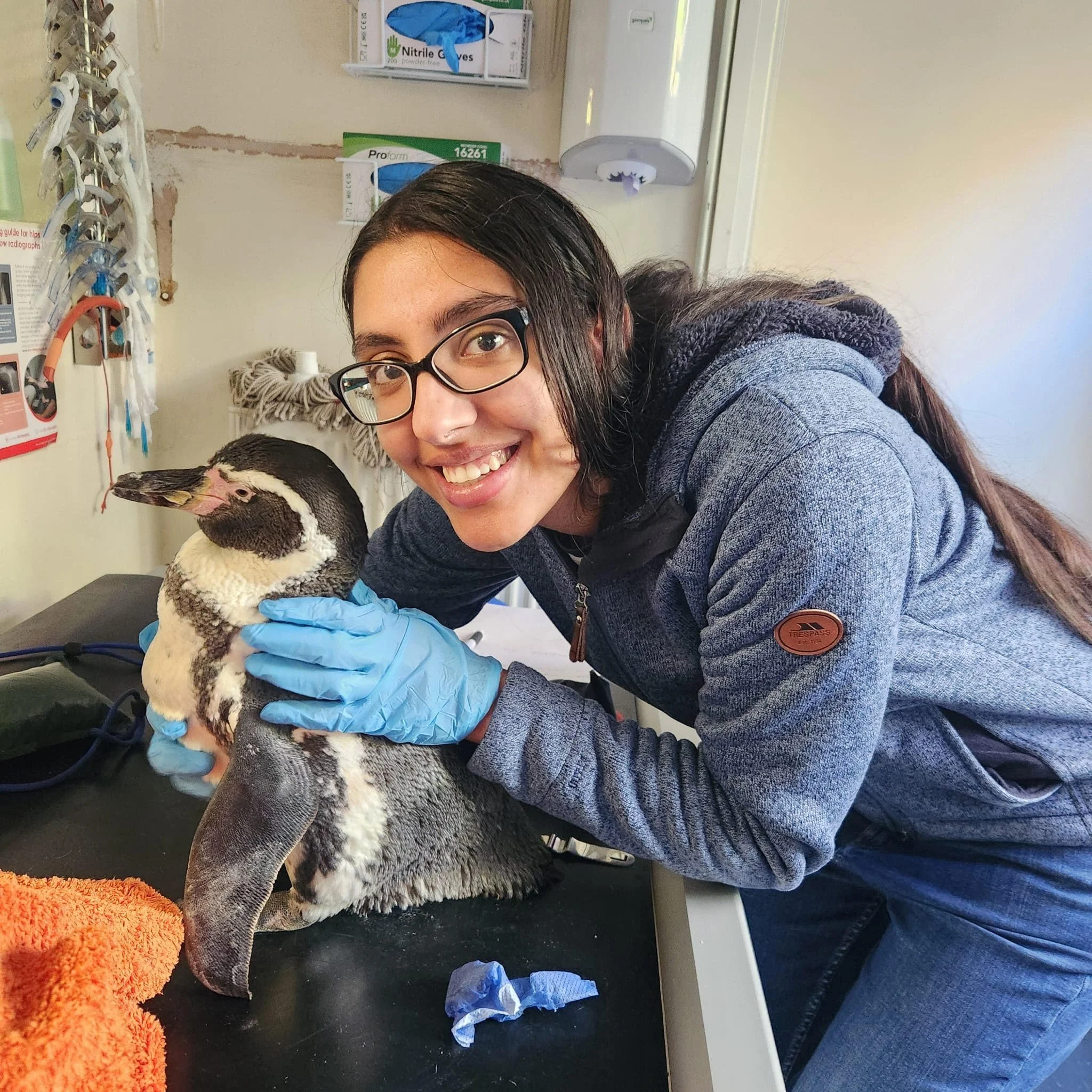 Avtar Kaur Dhaliwal - Veterinary Surgeon MRCVS