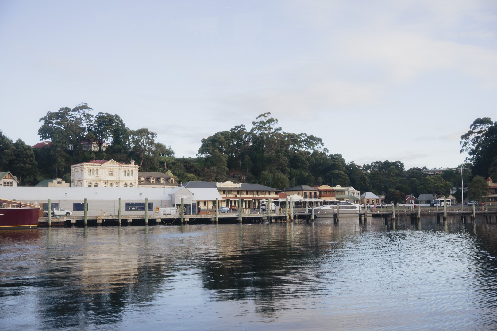 Tassie (10 of 102).jpg