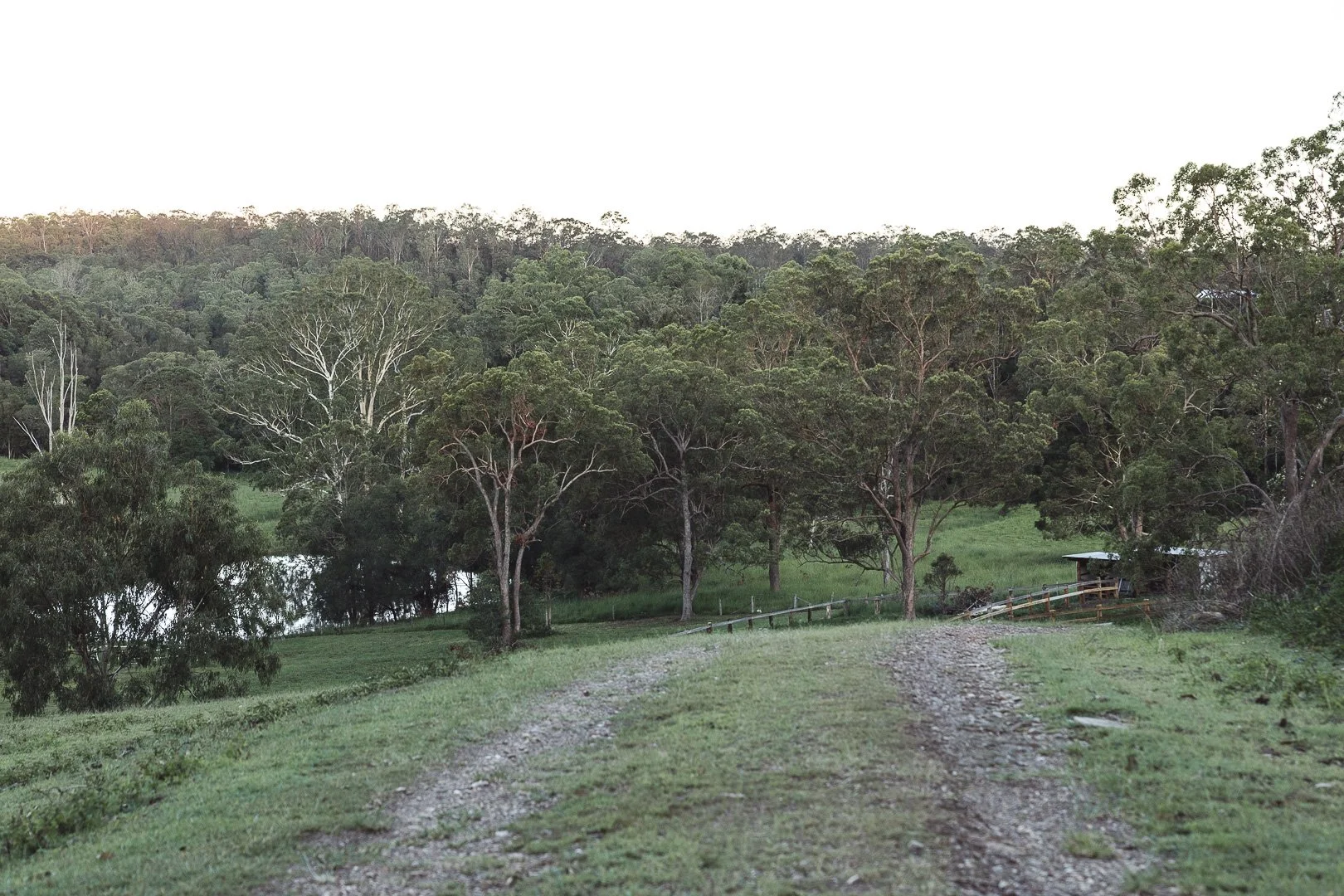 Gravel road leading through a green field towards a wooded area with trees and a small structure with a ramp, under a bright sky.