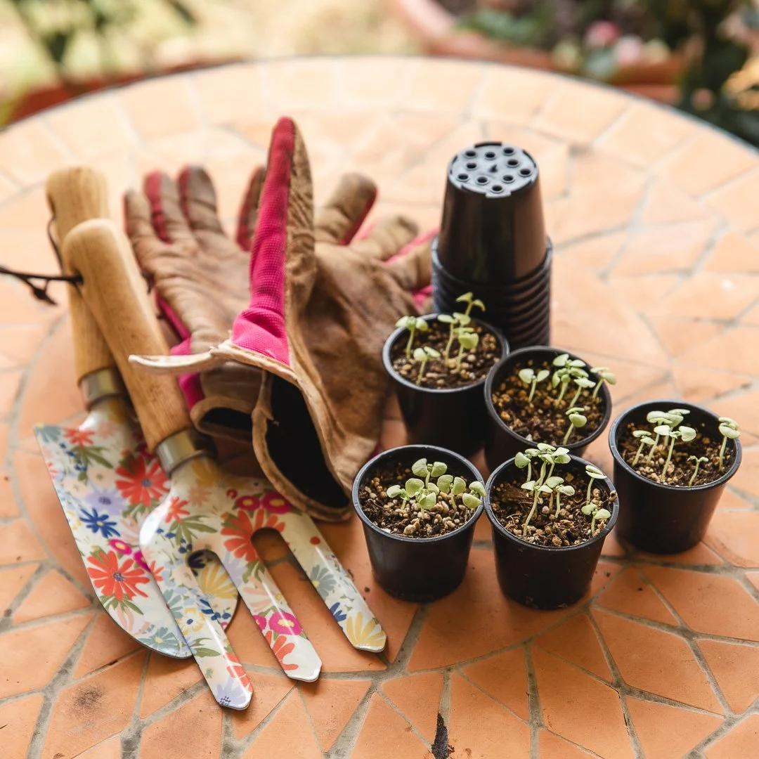 Gardening tools, gloves, small pots with seedlings, seedling tray, and a black plant mister on a brick surface.