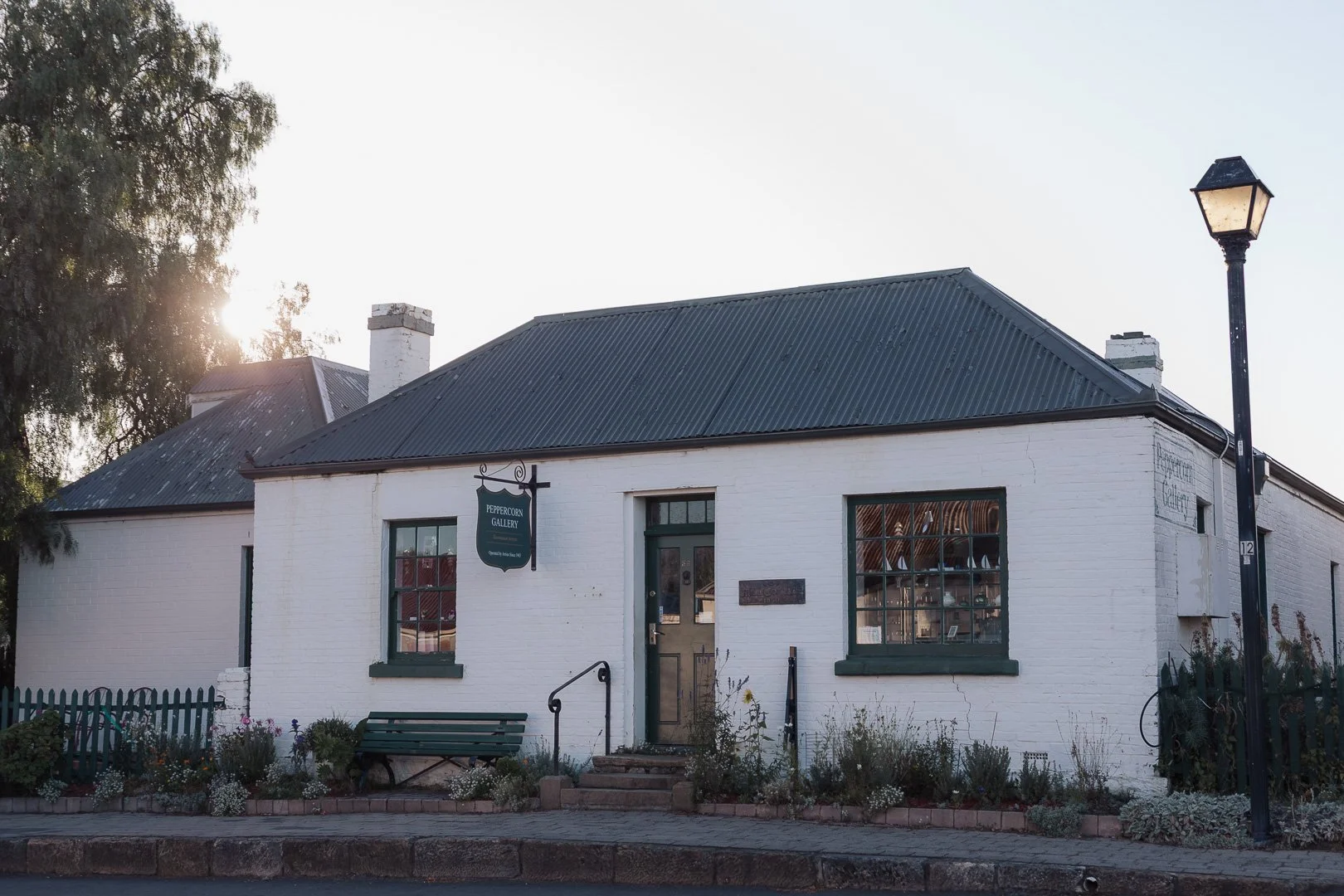 Tassie (78 of 102).jpg