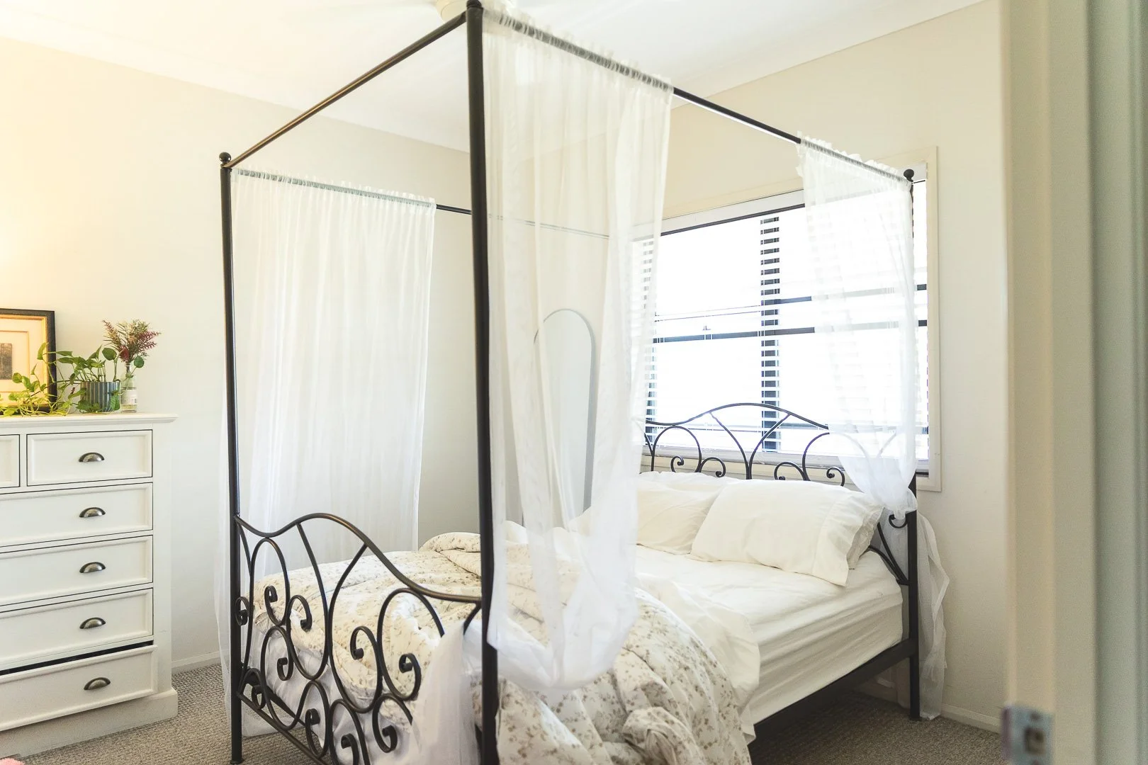 Website photos (3 of 4).jpg