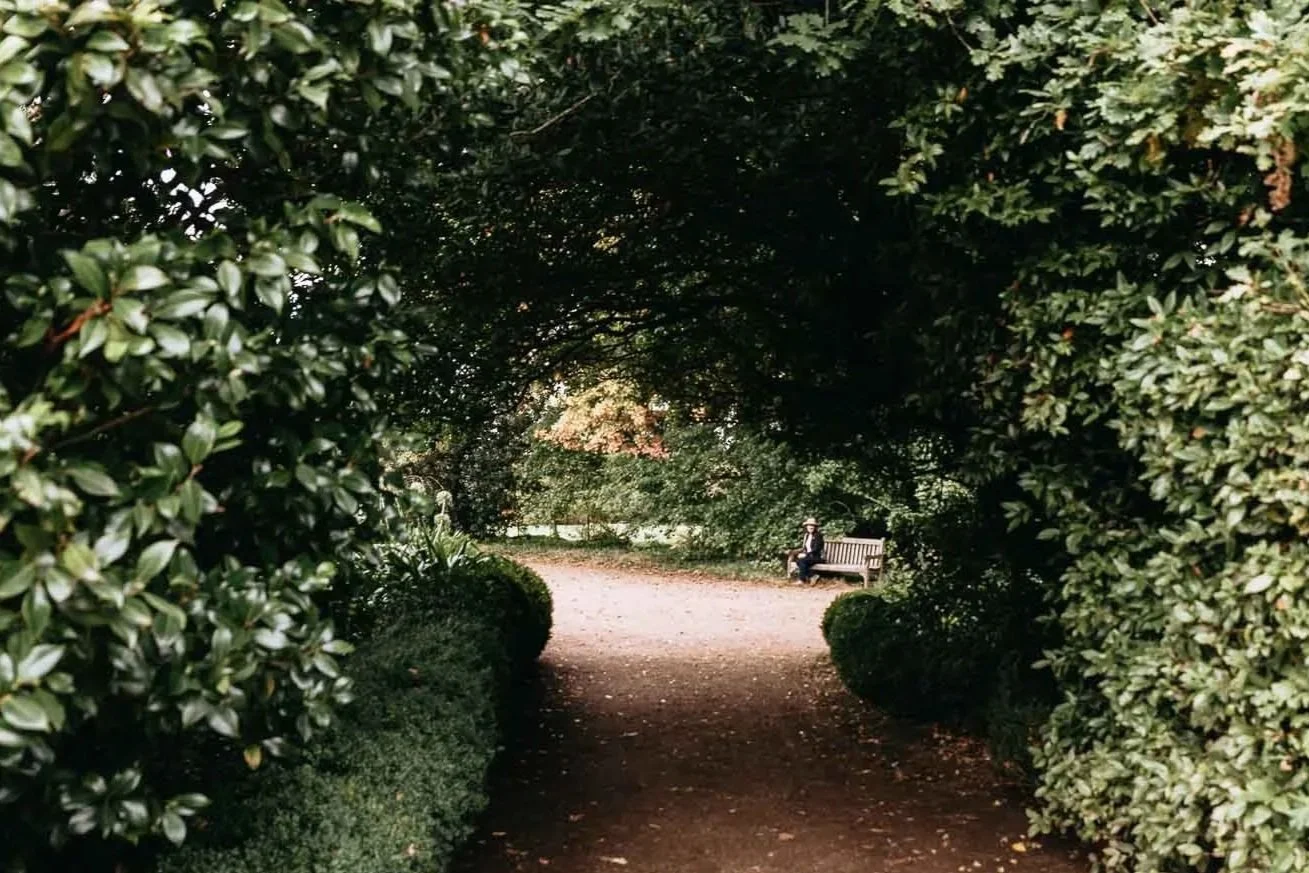 A park pathway framed by dense green foliage, with a person sitting on a bench in the distance
