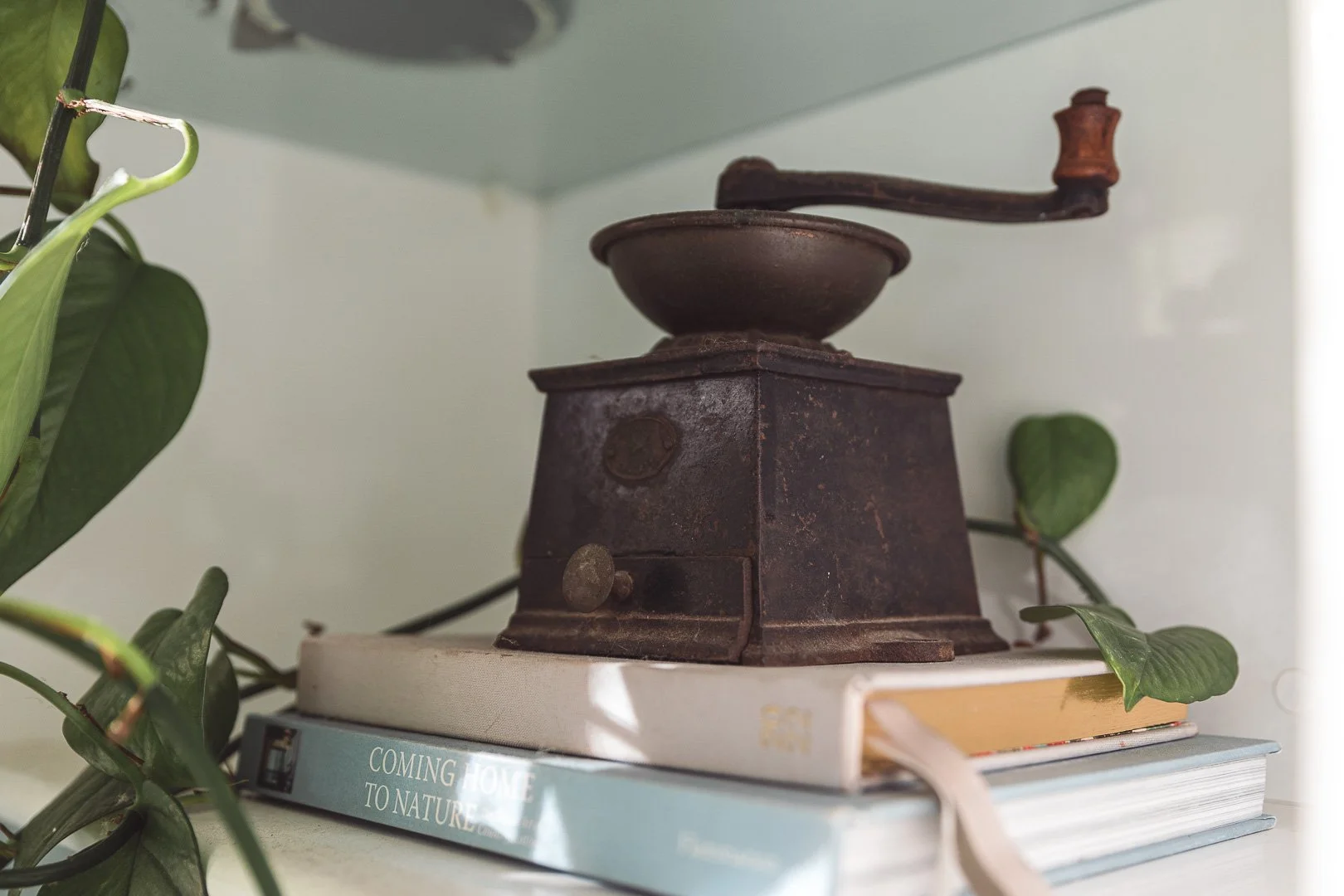 An old, rusty manual coffee grinder with a handle on top, placed on a stack of books and surrounded by green leafy plants.