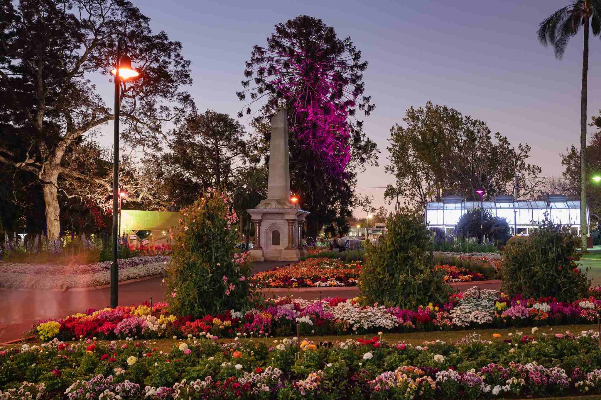 Flowers (18 of 21).jpg