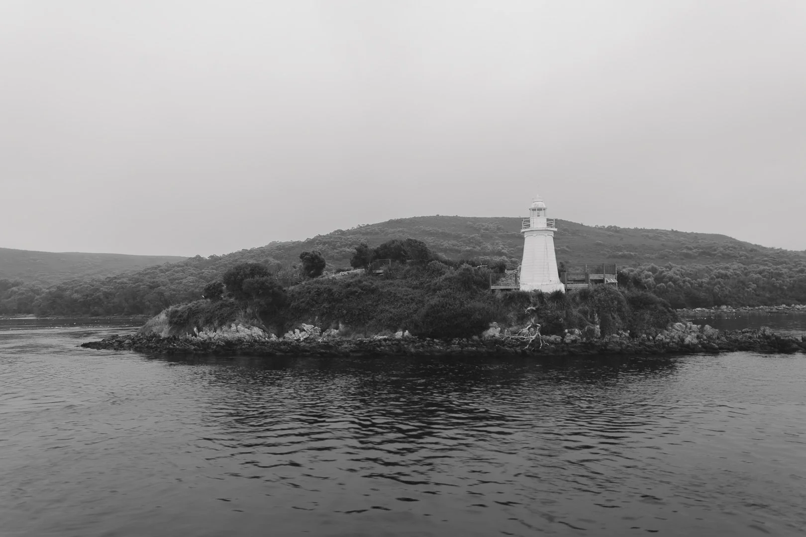 Tassie (11 of 102).jpg