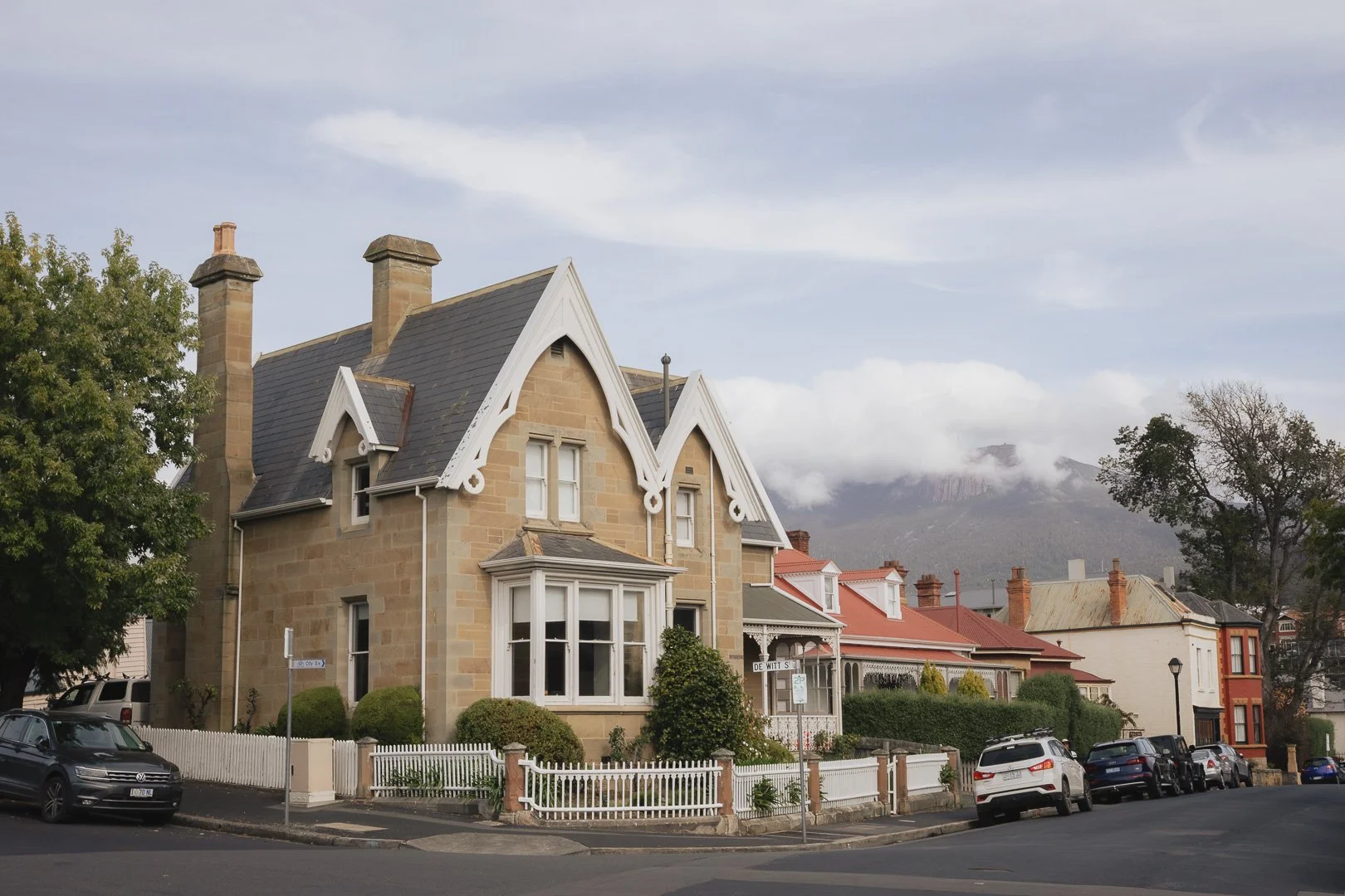 Tassie (5 of 102).jpg