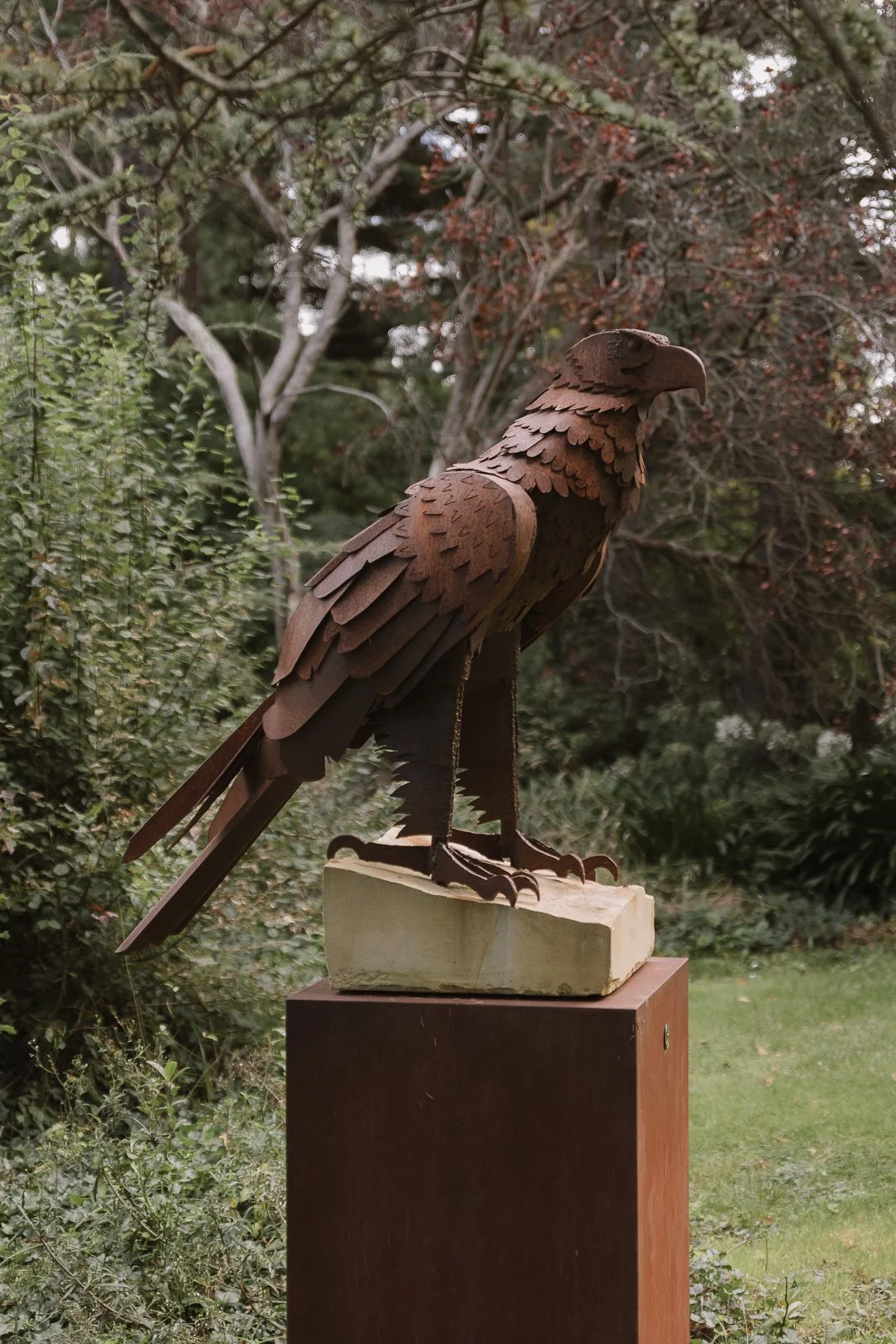 Tassie (46 of 102).jpg