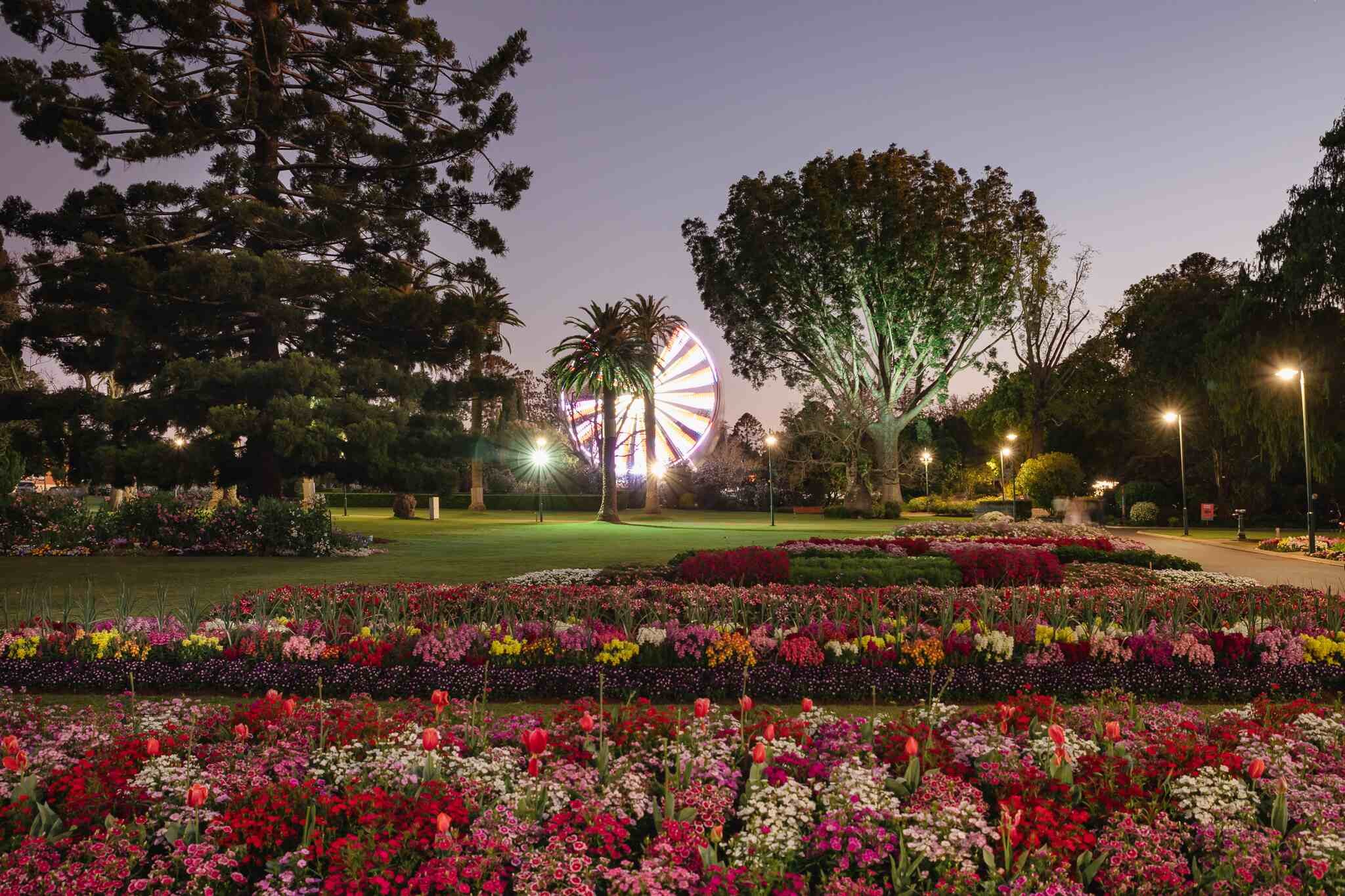 Flowers (20 of 21).jpg