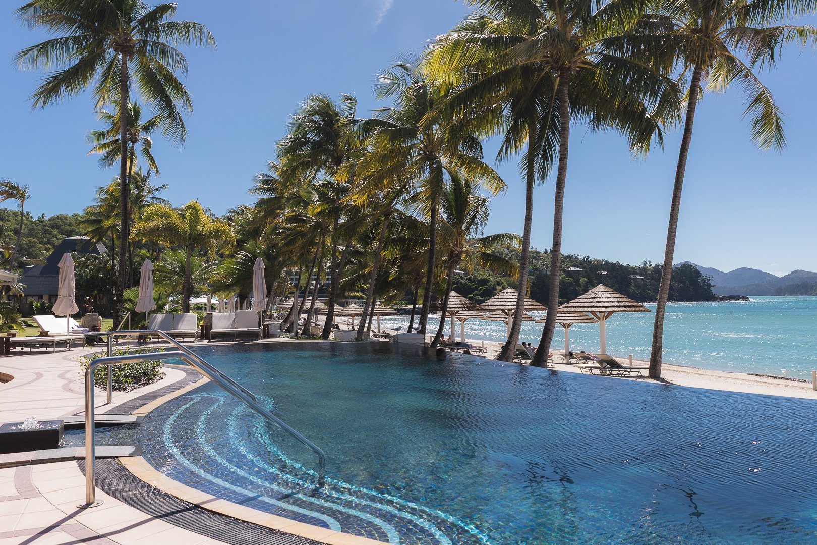 A tropical resort pool area with palm trees, lounge chairs, and umbrellas overlooking a beach and ocean under a clear blue sky. Resort photography by Laurene Bardsley Photography