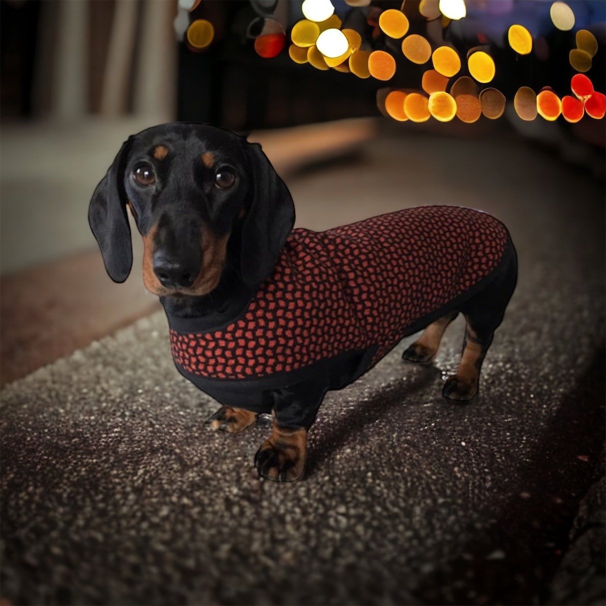 https://i.etsystatic.com/26998722/r/il/942ea9/4901917615/il_fullxfull.4901917615_t2r7.jpg