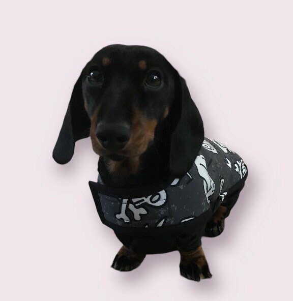 https://i.etsystatic.com/26998722/r/il/5c72d8/4296097481/il_fullxfull.4296097481_d2pk.jpg
