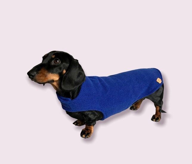 https://i.etsystatic.com/26998722/r/il/14eadd/4138351993/il_fullxfull.4138351993_qlrj.jpg