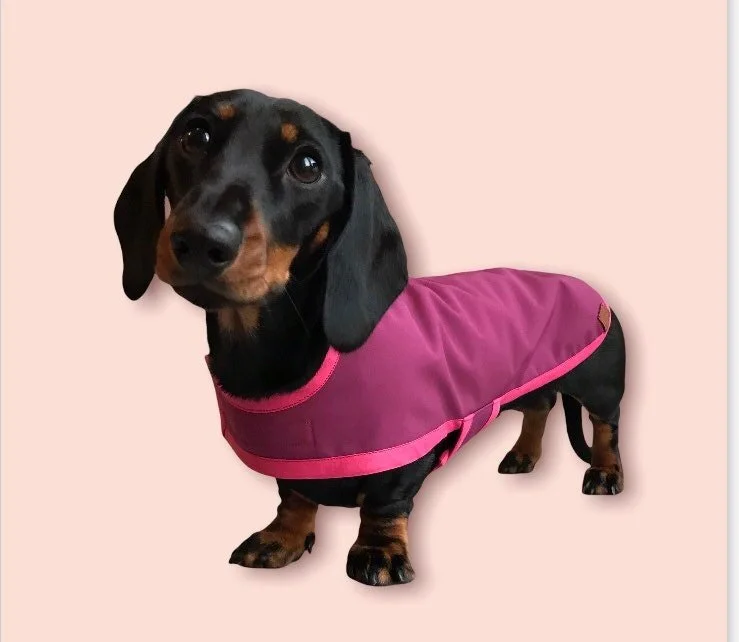 https://i.etsystatic.com/26998722/r/il/8876ac/3358887670/il_fullxfull.3358887670_suu3.jpg