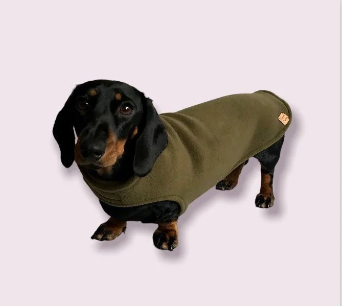 https://i.etsystatic.com/26998722/r/il/dad492/4138329785/il_fullxfull.4138329785_fhn5.jpg