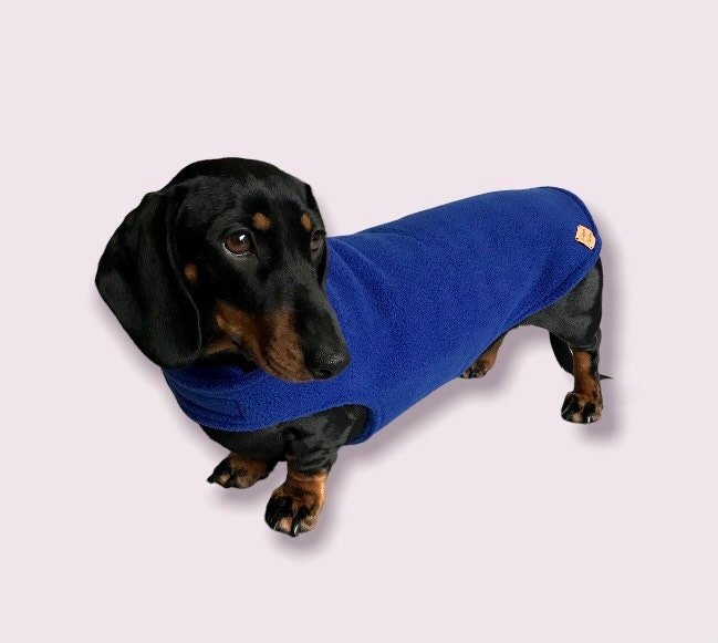 https://i.etsystatic.com/26998722/r/il/d24d5d/4138351967/il_fullxfull.4138351967_1lwv.jpg