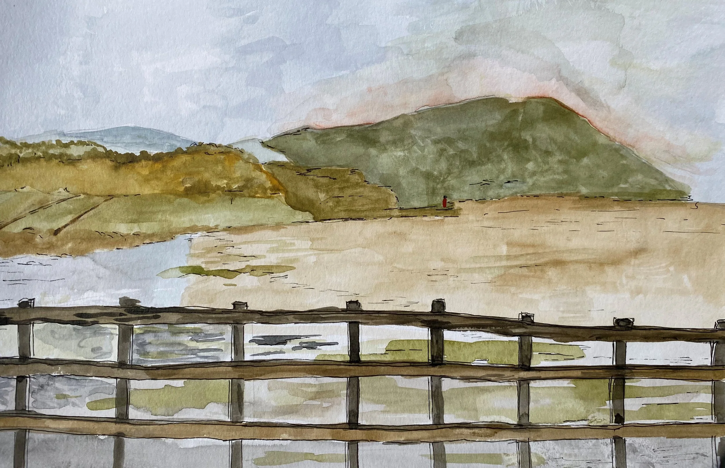 view from doniford to minehead.JPG