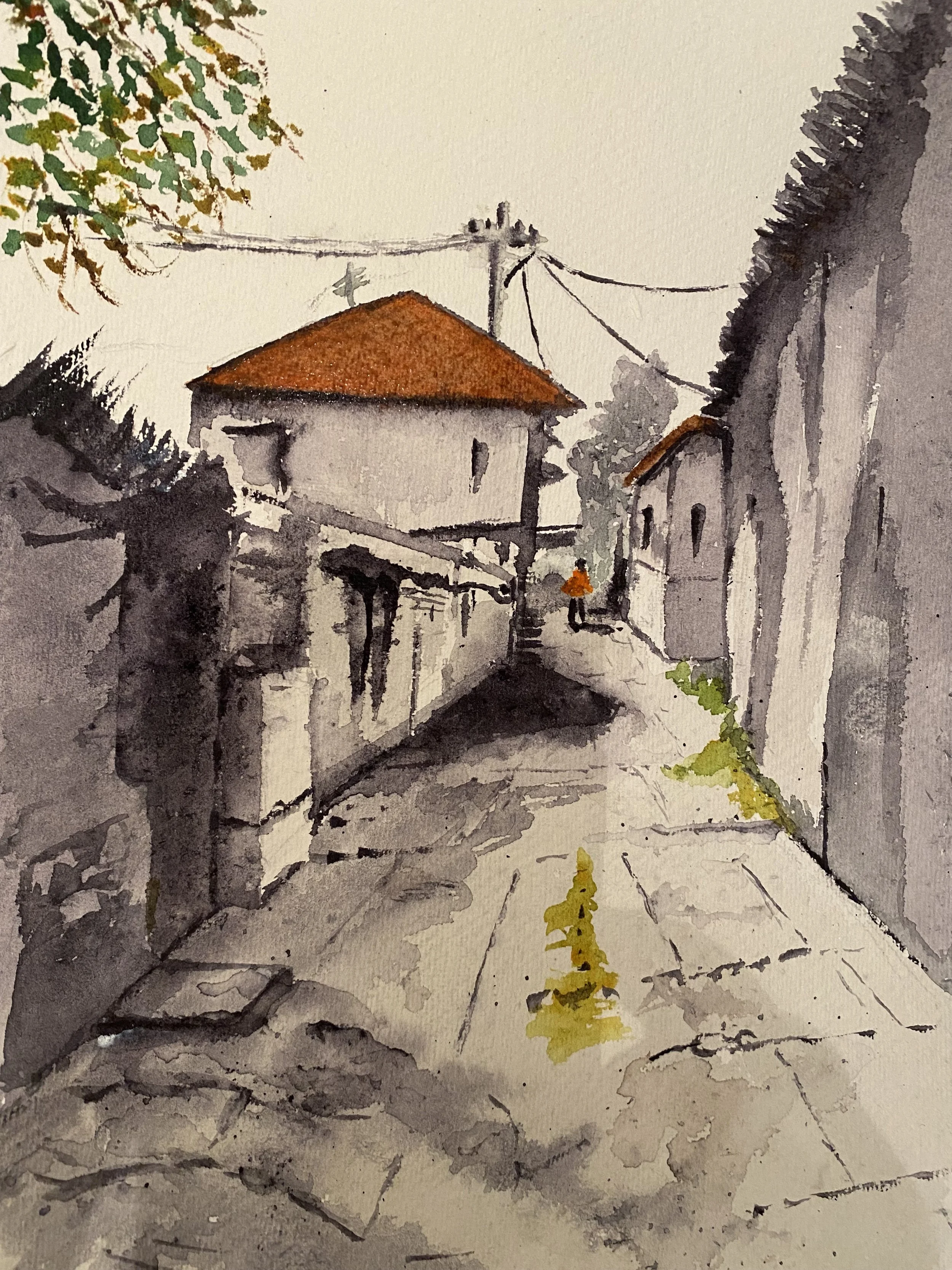 Javid Tabatabeo tutorial street